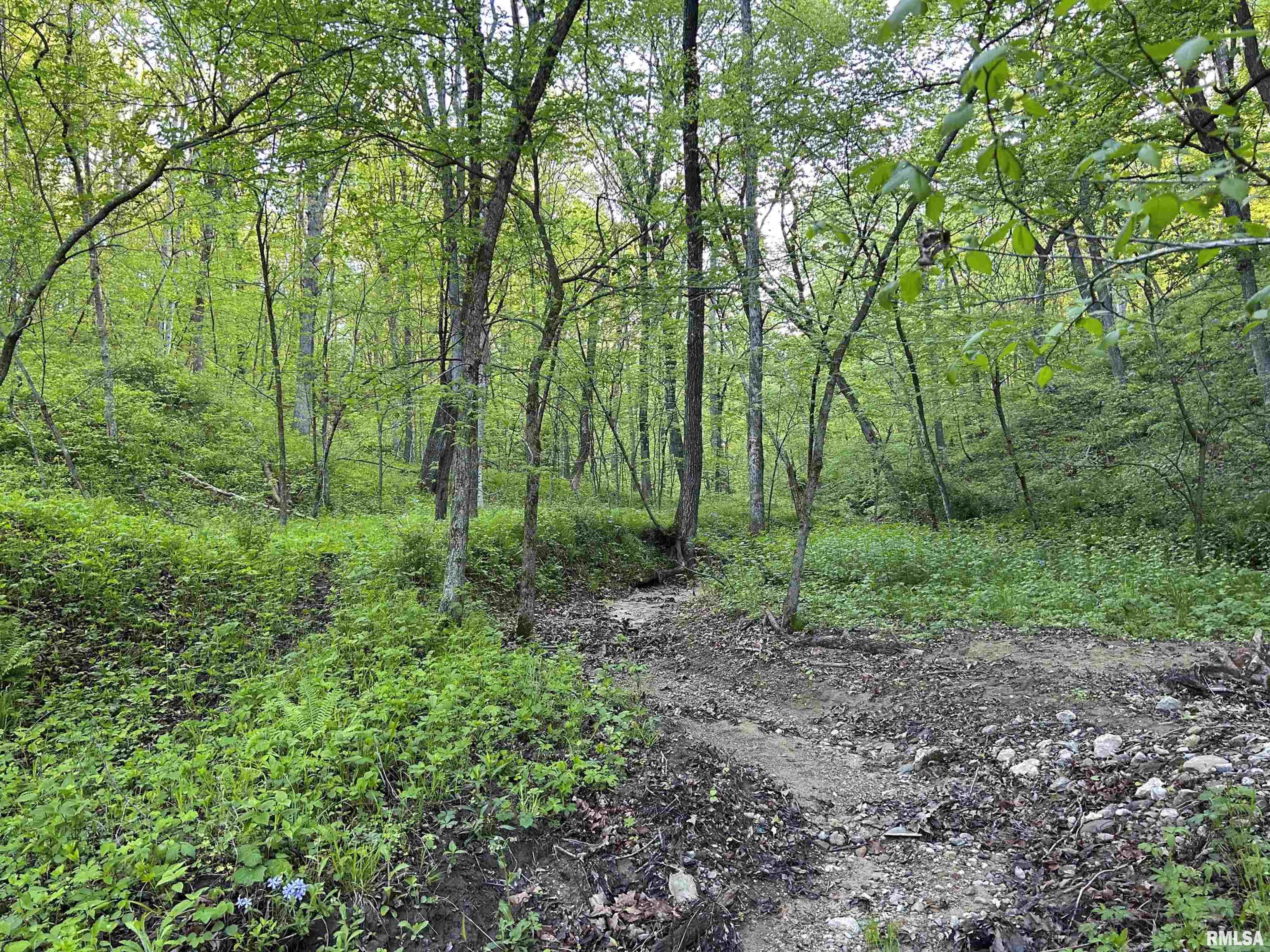 Chambers Road, Smithfield, Illinois image 16