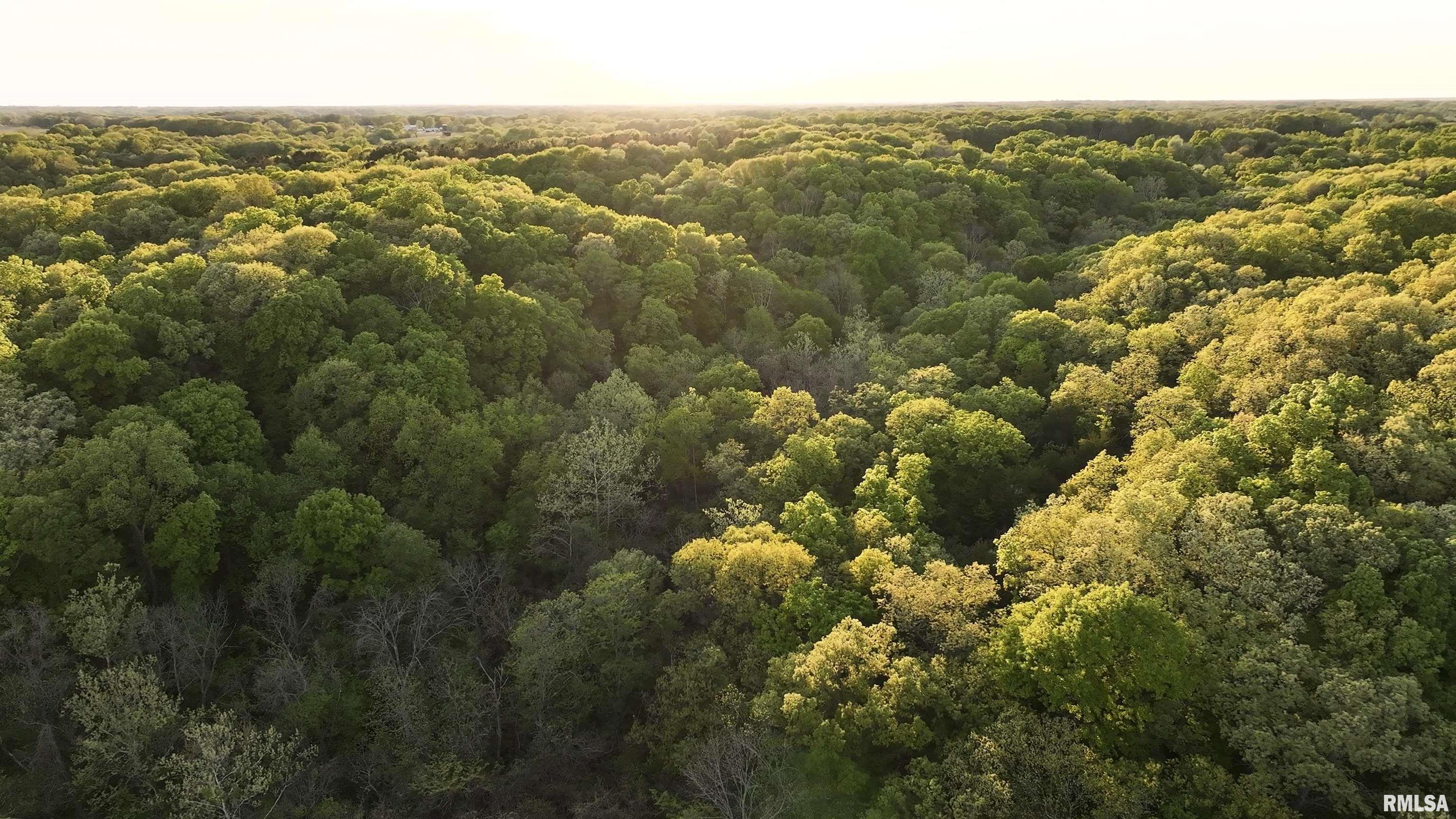 Chambers Road, Smithfield, Illinois image 14