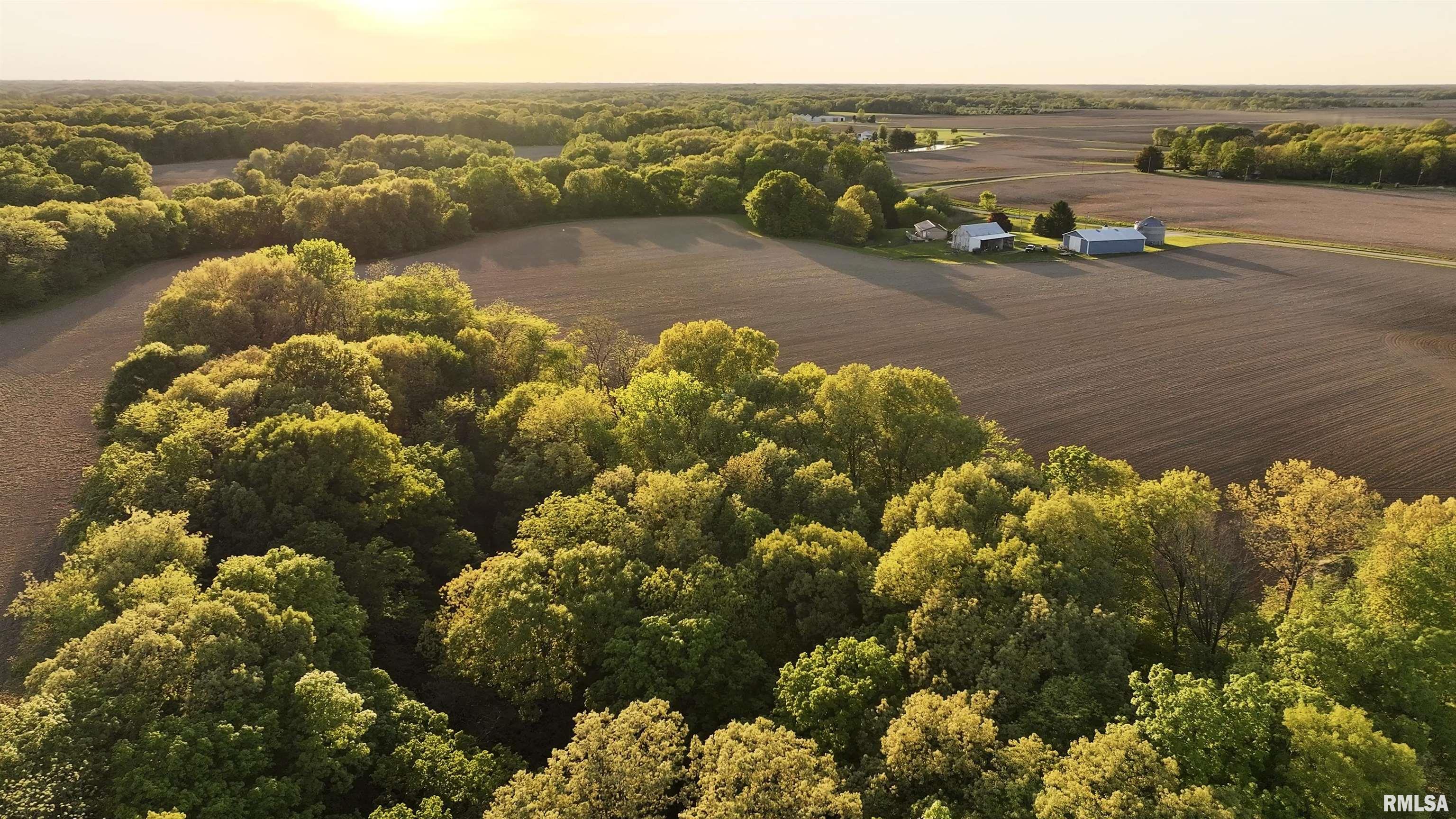 Chambers Road, Smithfield, Illinois image 10