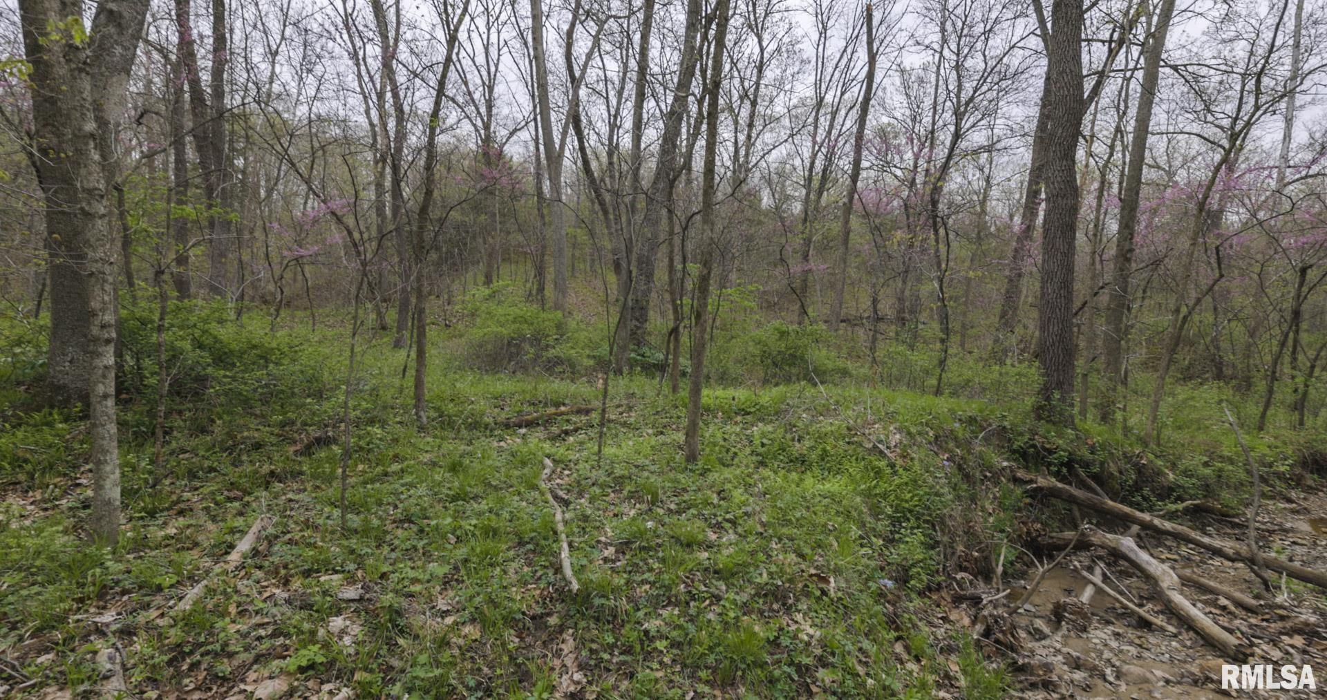 Chambers Road, Smithfield, Illinois image 30