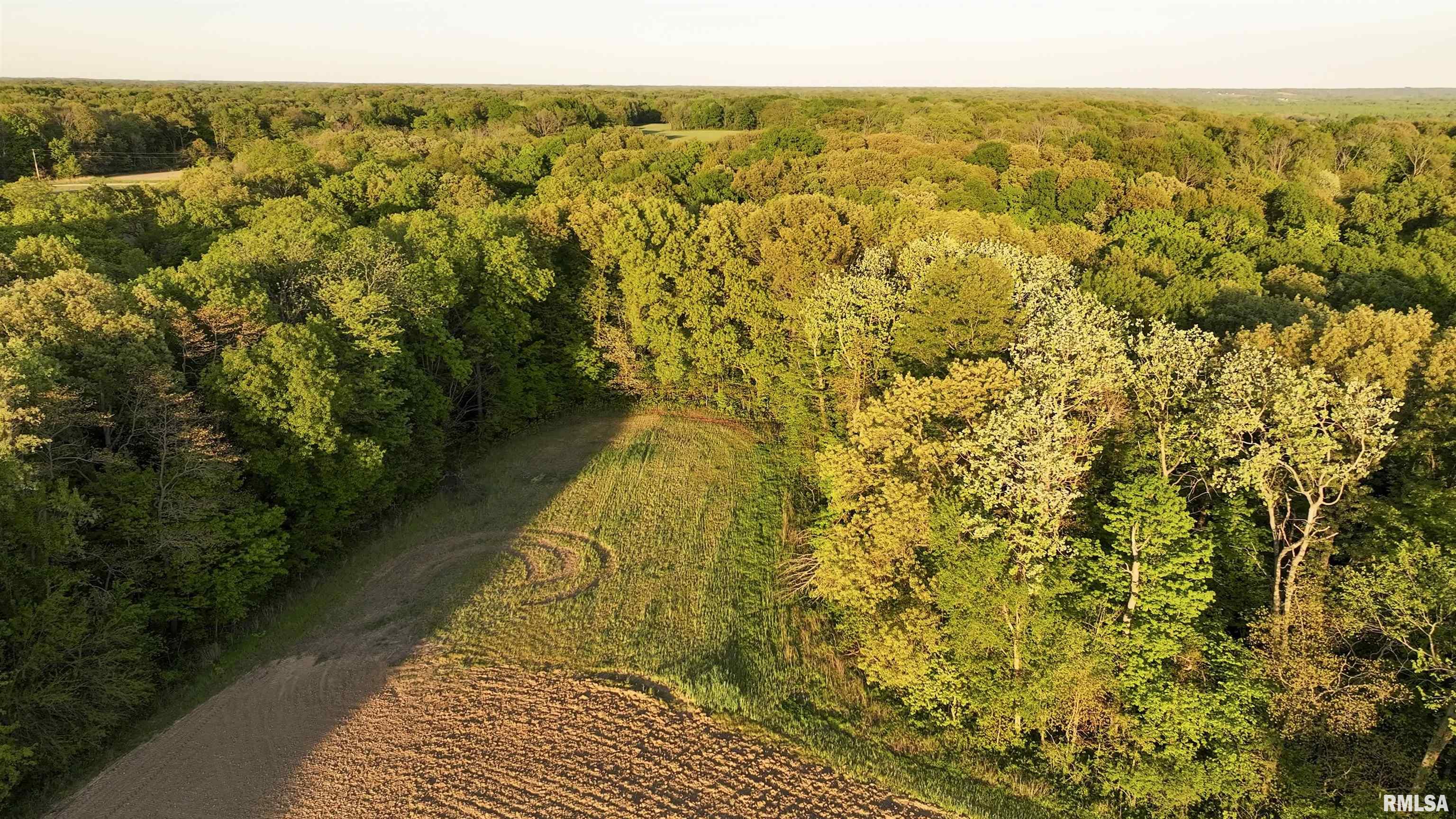 Chambers Road, Smithfield, Illinois image 11