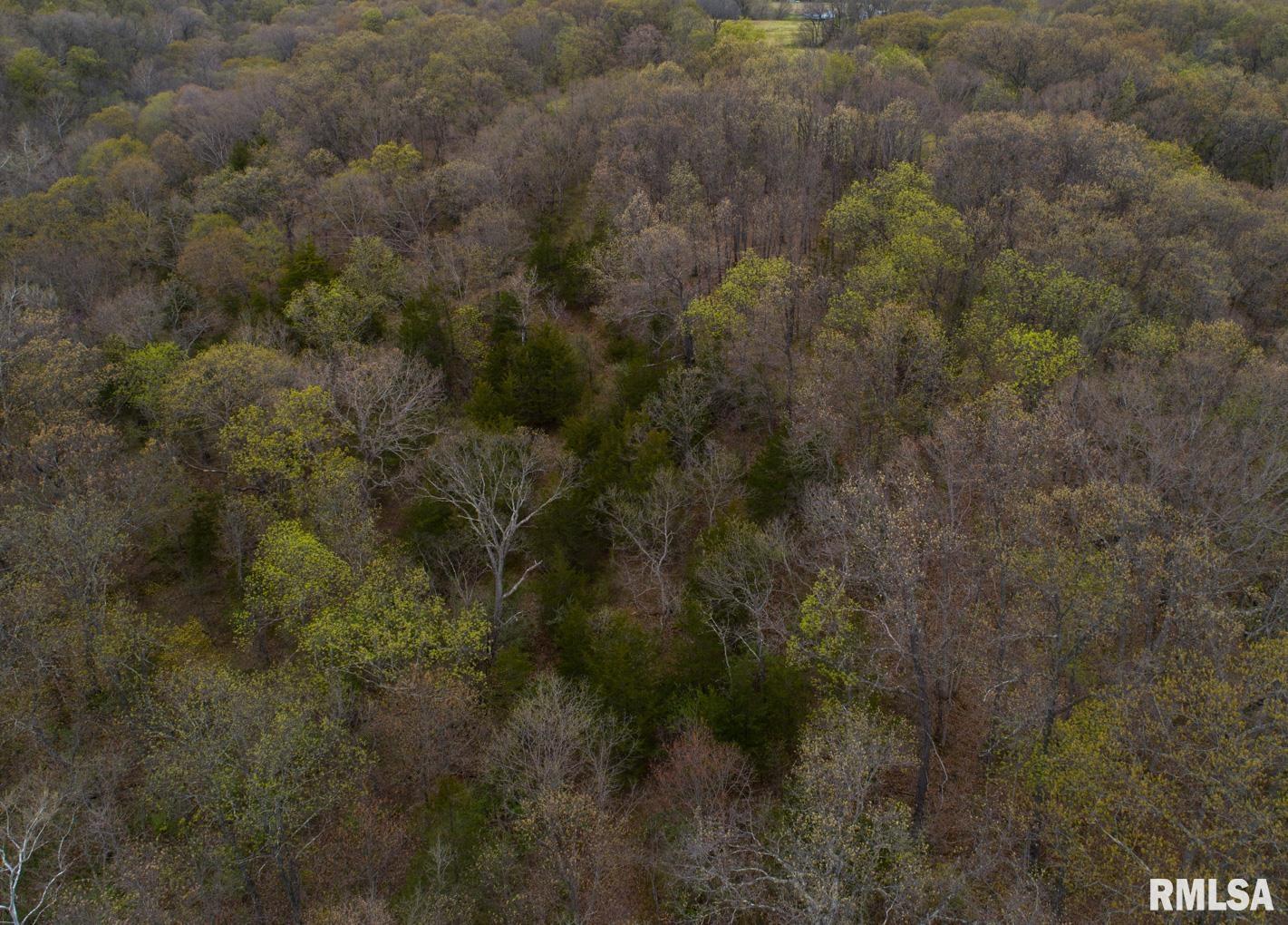 Chambers Road, Smithfield, Illinois image 40