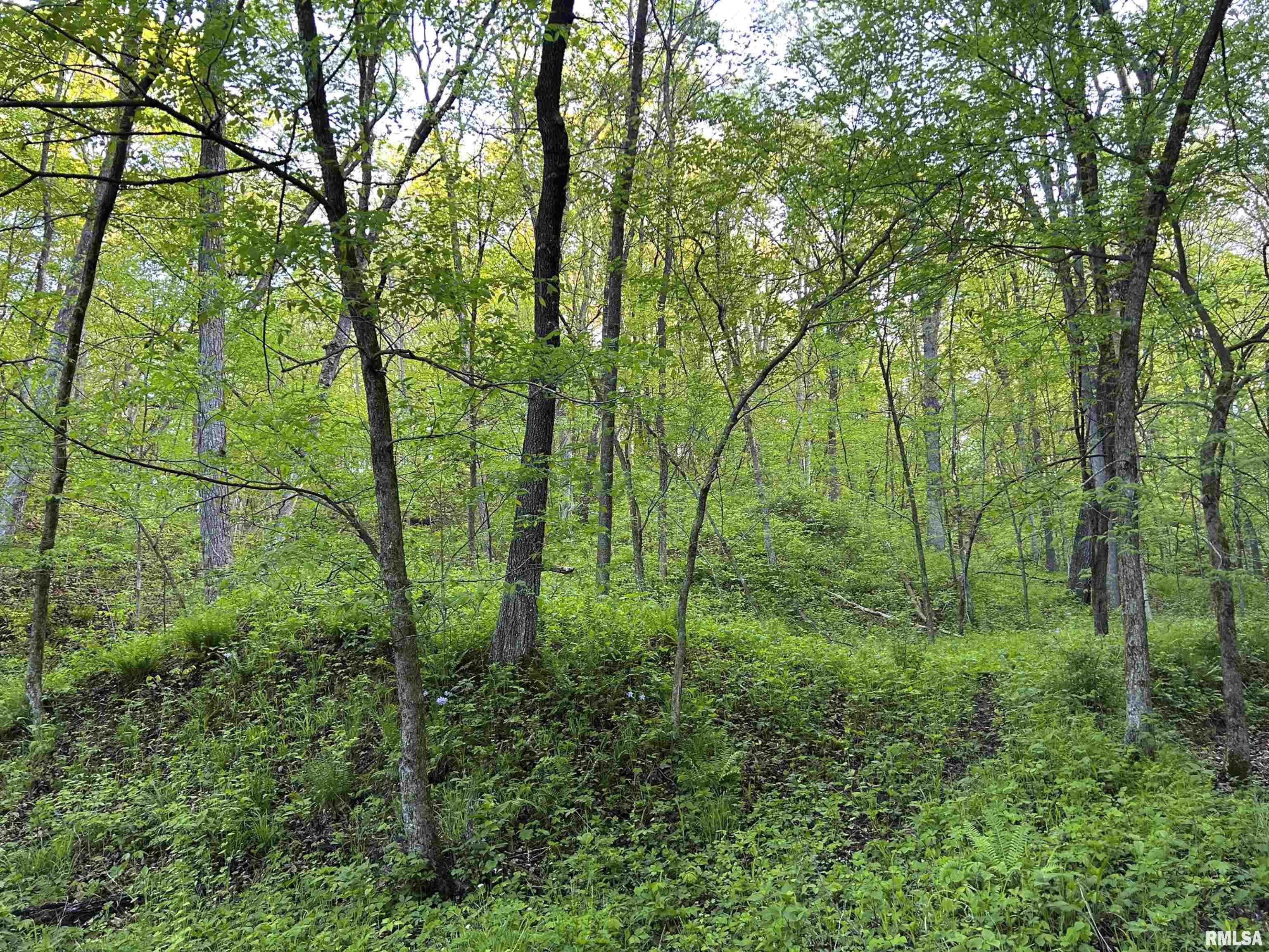Chambers Road, Smithfield, Illinois image 17