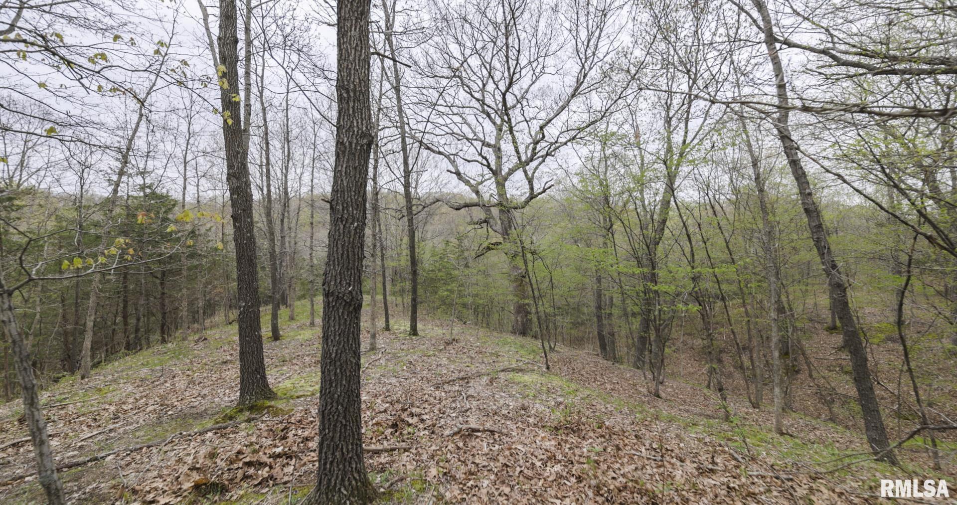 Chambers Road, Smithfield, Illinois image 37
