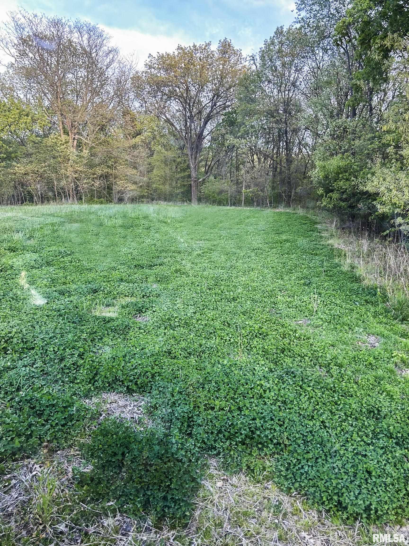 Chambers Road, Smithfield, Illinois image 15
