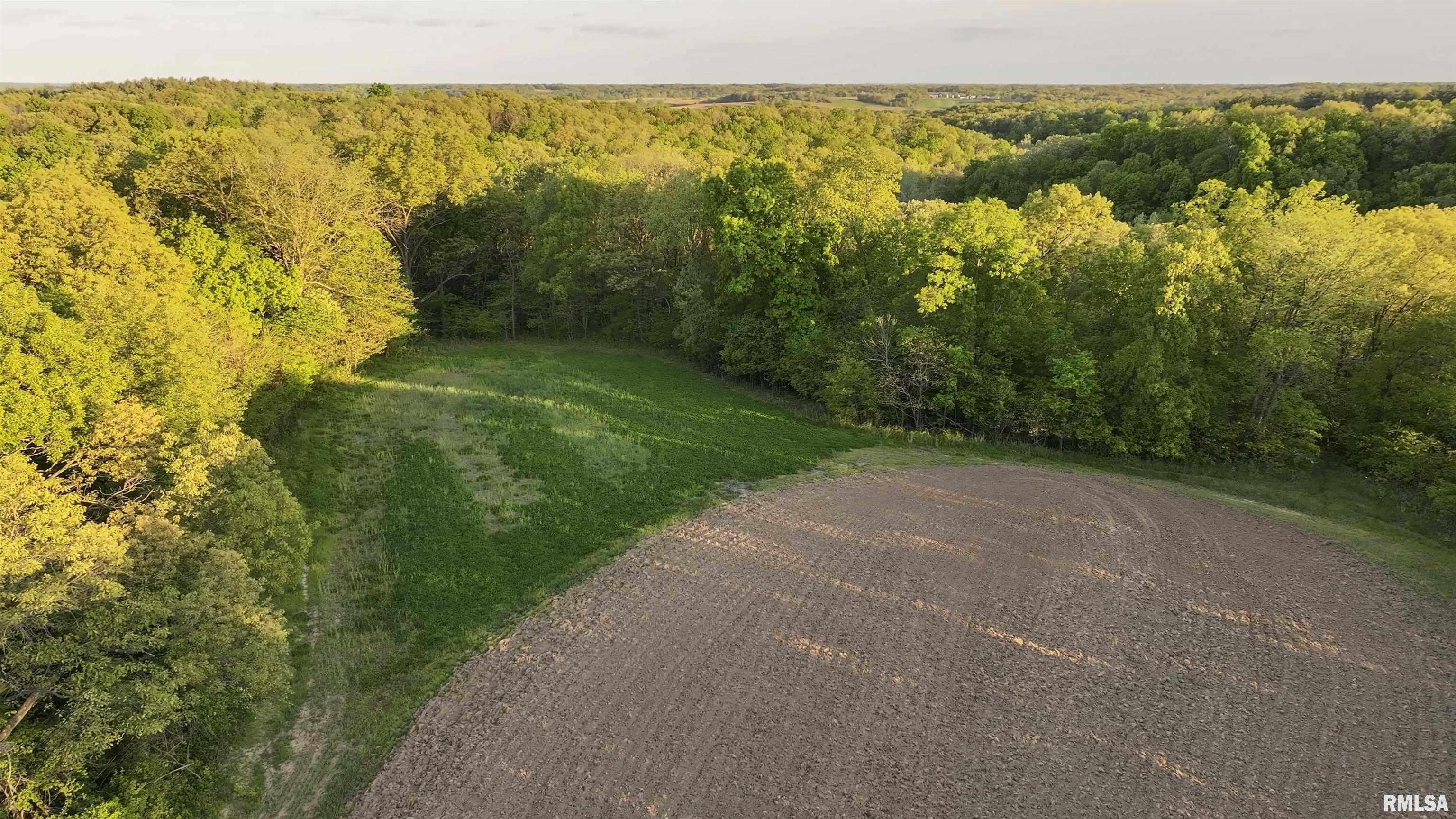 Chambers Road, Smithfield, Illinois image 9
