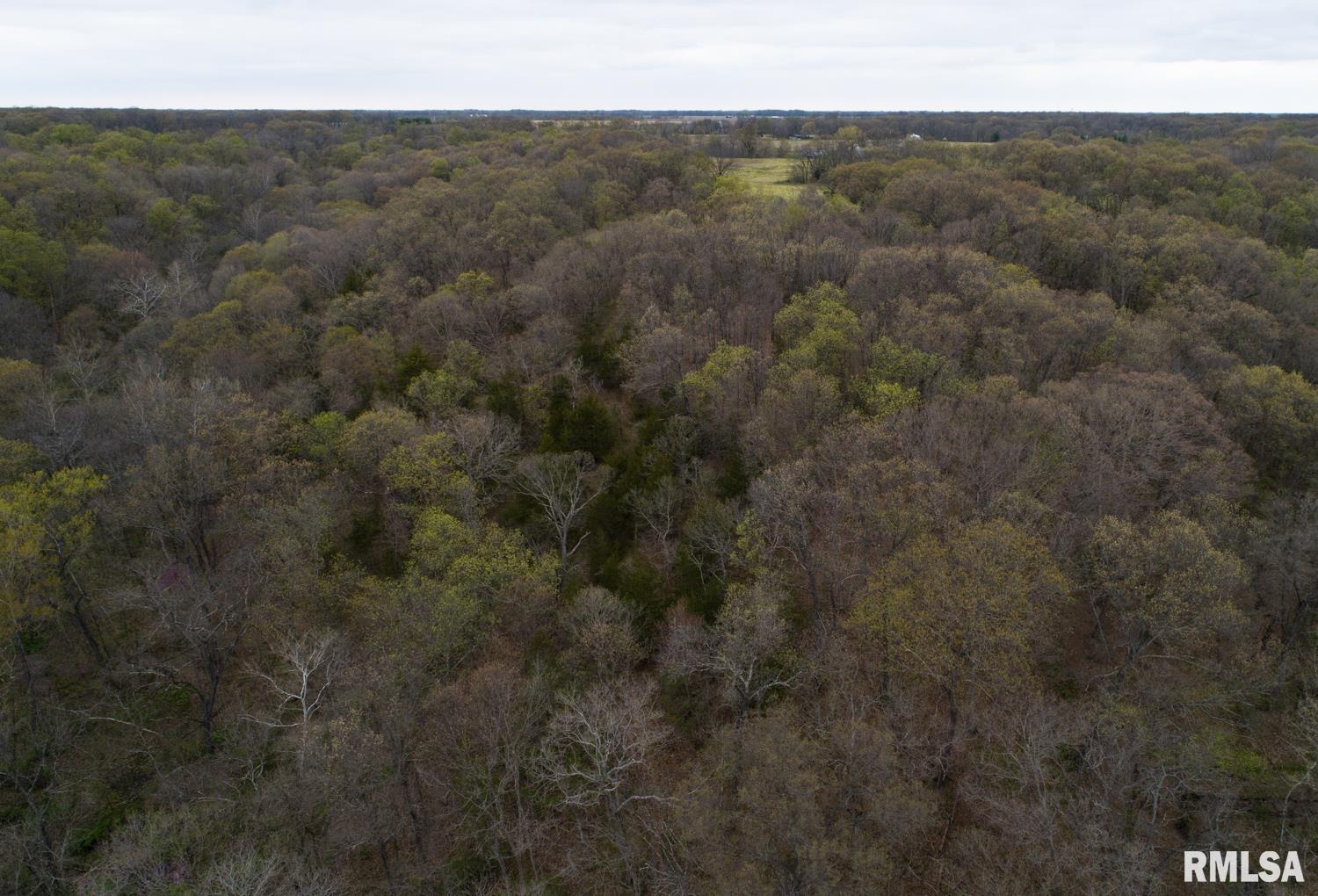 Chambers Road, Smithfield, Illinois image 39