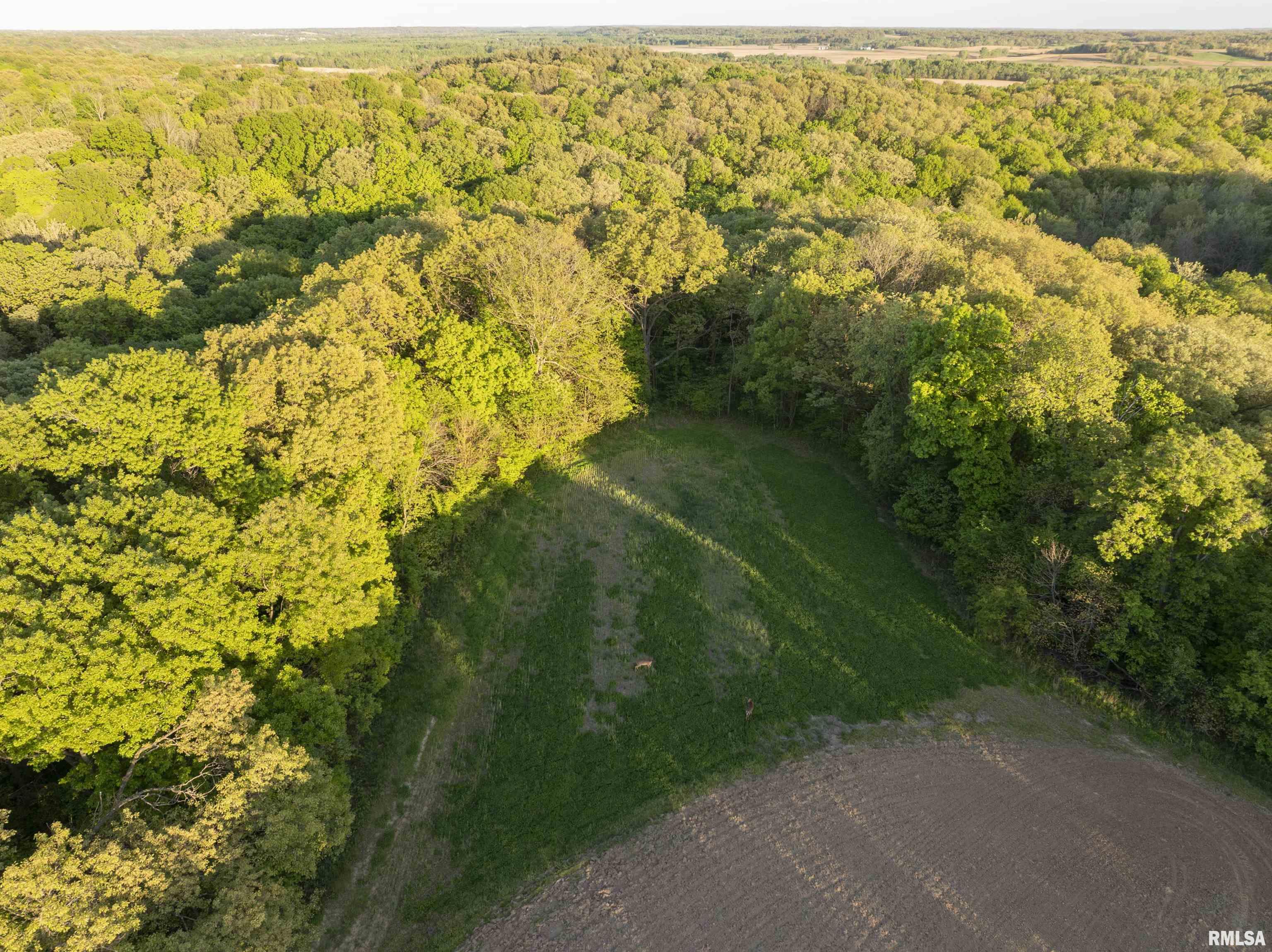 Chambers Road, Smithfield, Illinois image 2