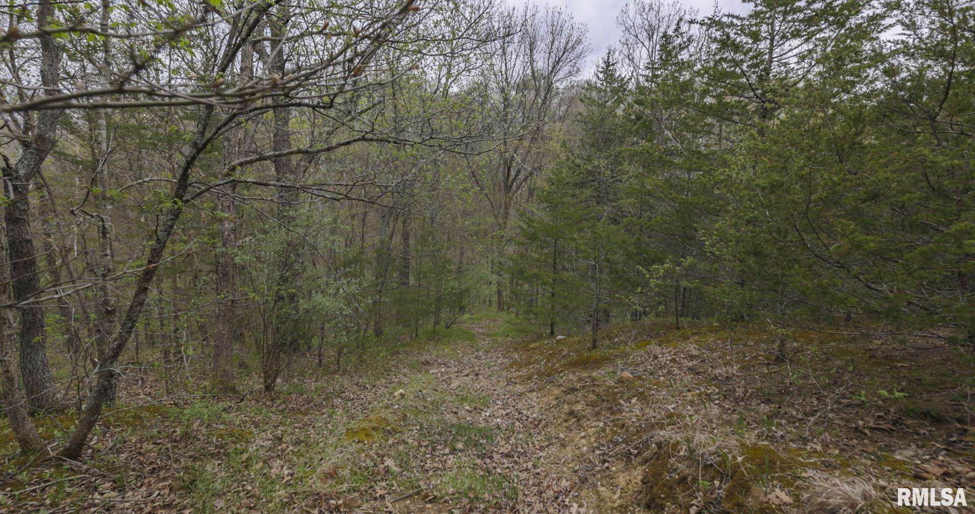 Chambers Road, Smithfield, Illinois image 27