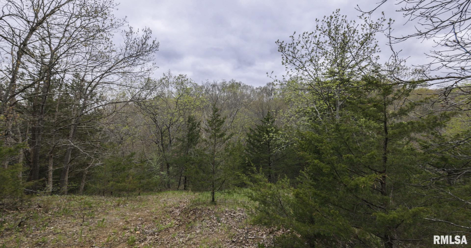 Chambers Road, Smithfield, Illinois image 26