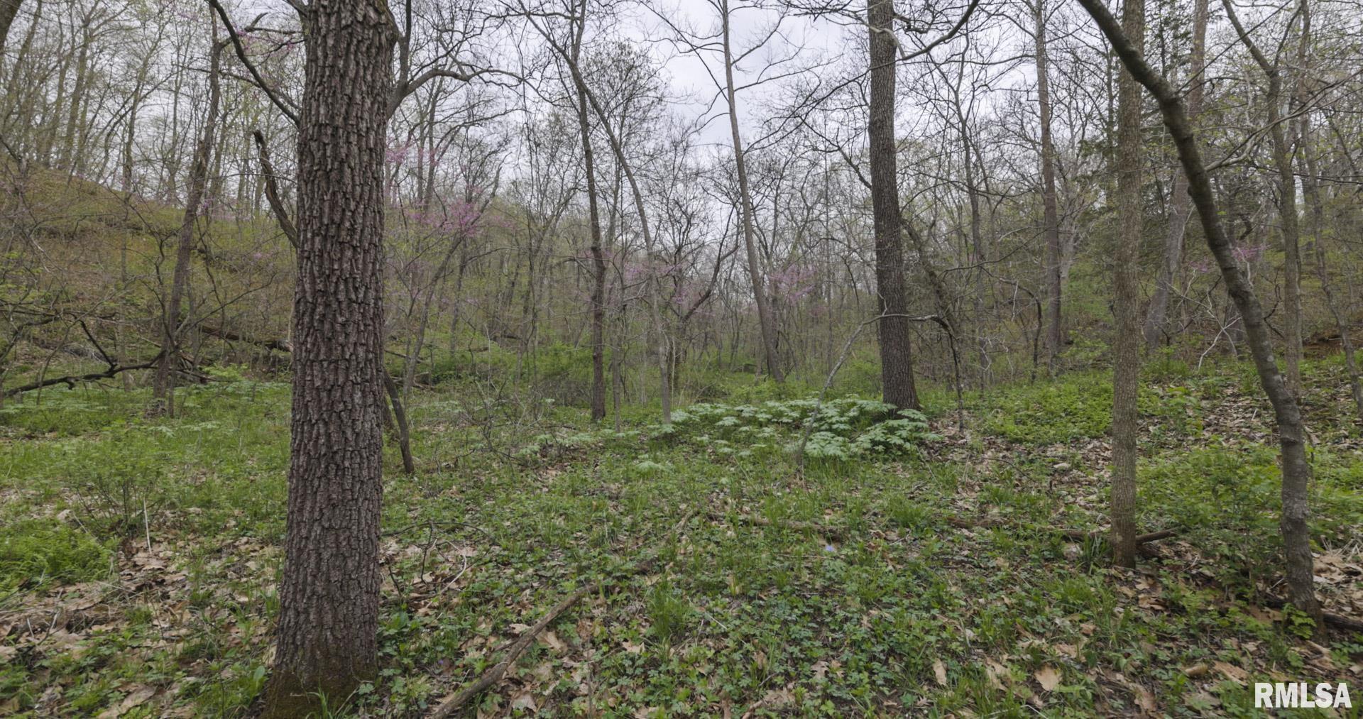 Chambers Road, Smithfield, Illinois image 31