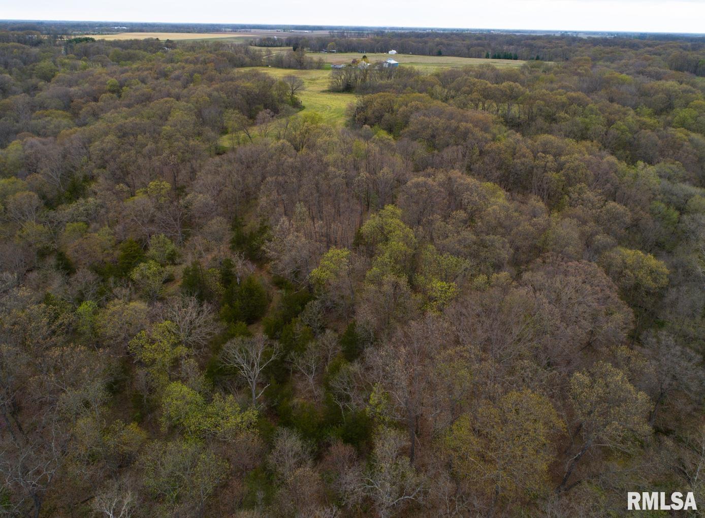 Chambers Road, Smithfield, Illinois image 41