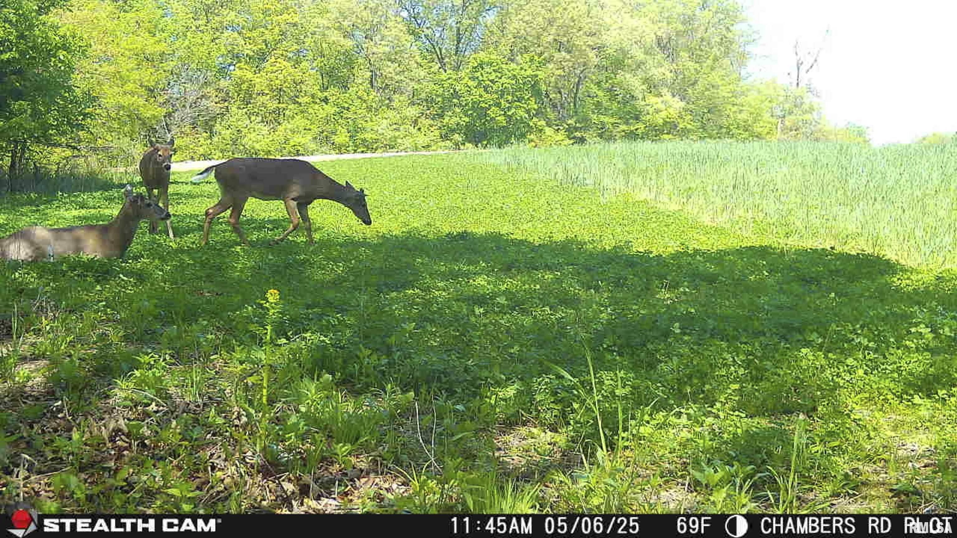 Chambers Road, Smithfield, Illinois image 23
