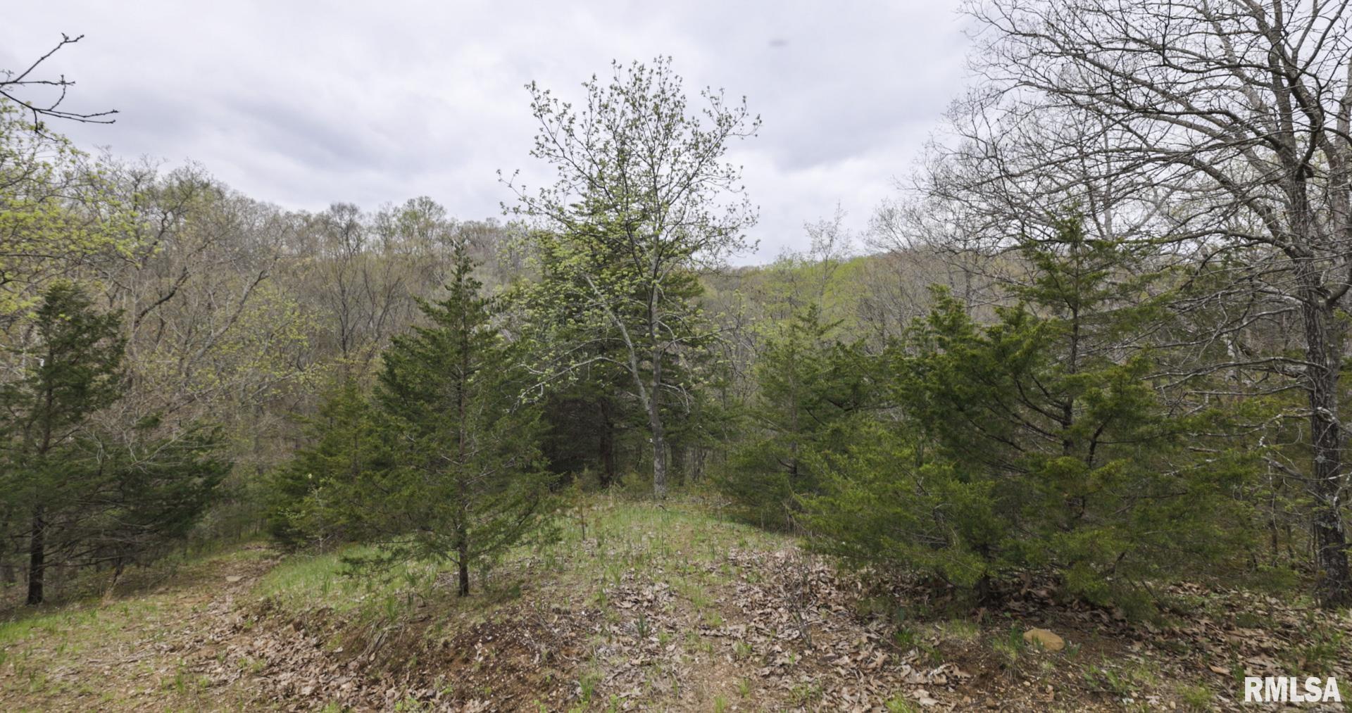 Chambers Road, Smithfield, Illinois image 34