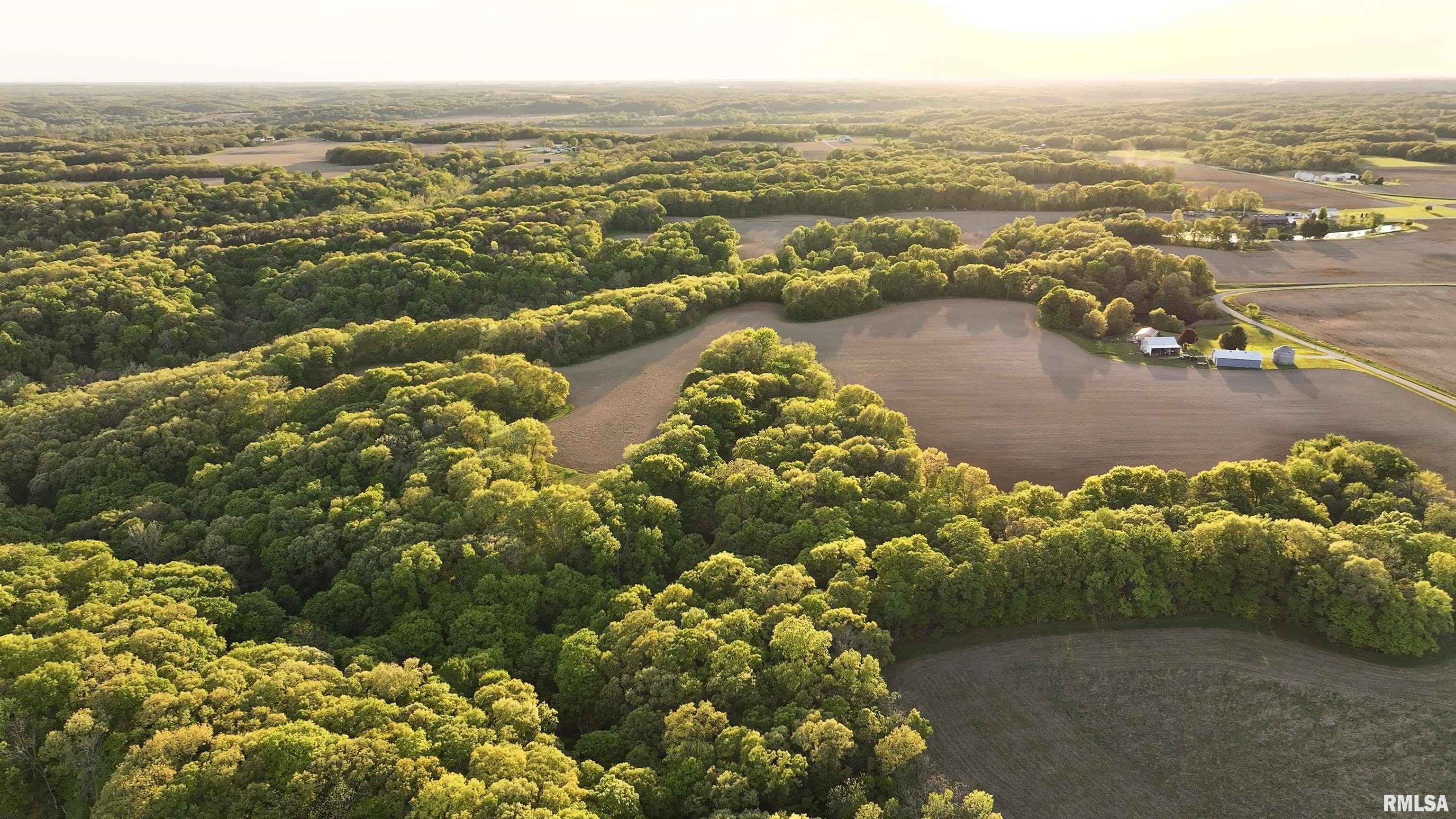 Chambers Road, Smithfield, Illinois image 12