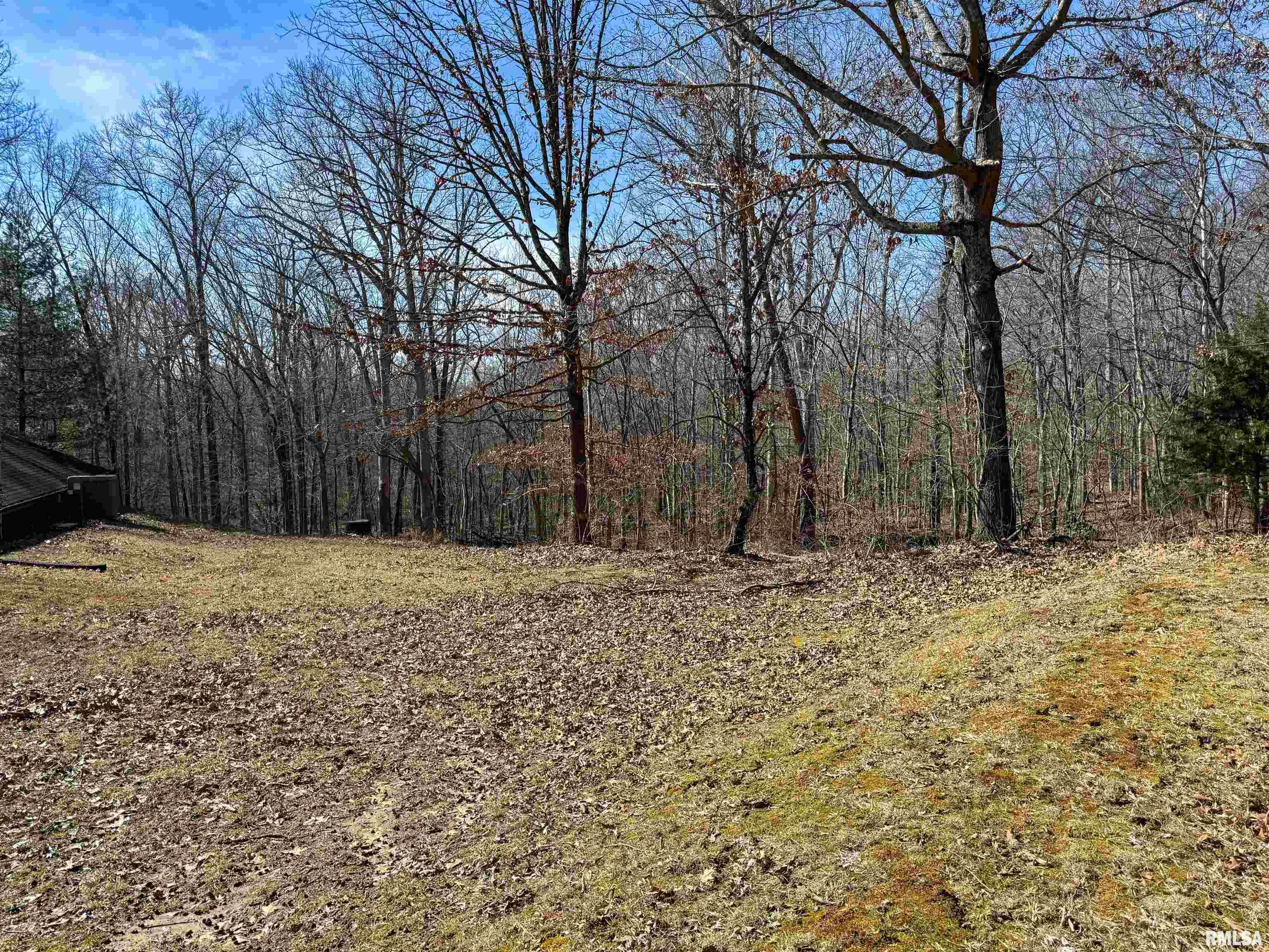 780 Mountain Glen Road, Cobden, Illinois image 18