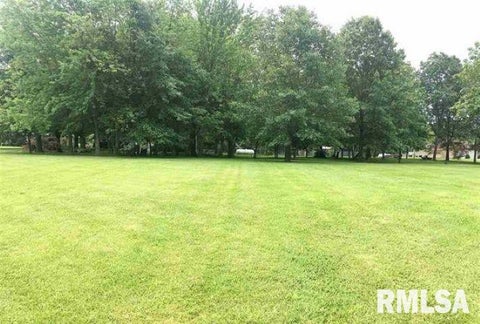Vacant Land For Sale - L3 Webb Court<br/> Sangamon County, Dawson, IL 62520