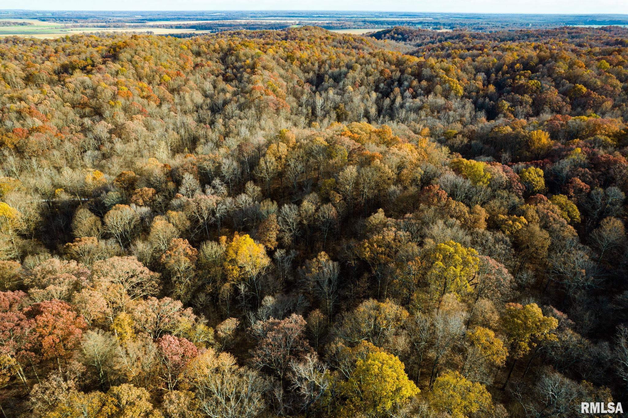 Jim Branch Road, Tamms, Illinois image 1
