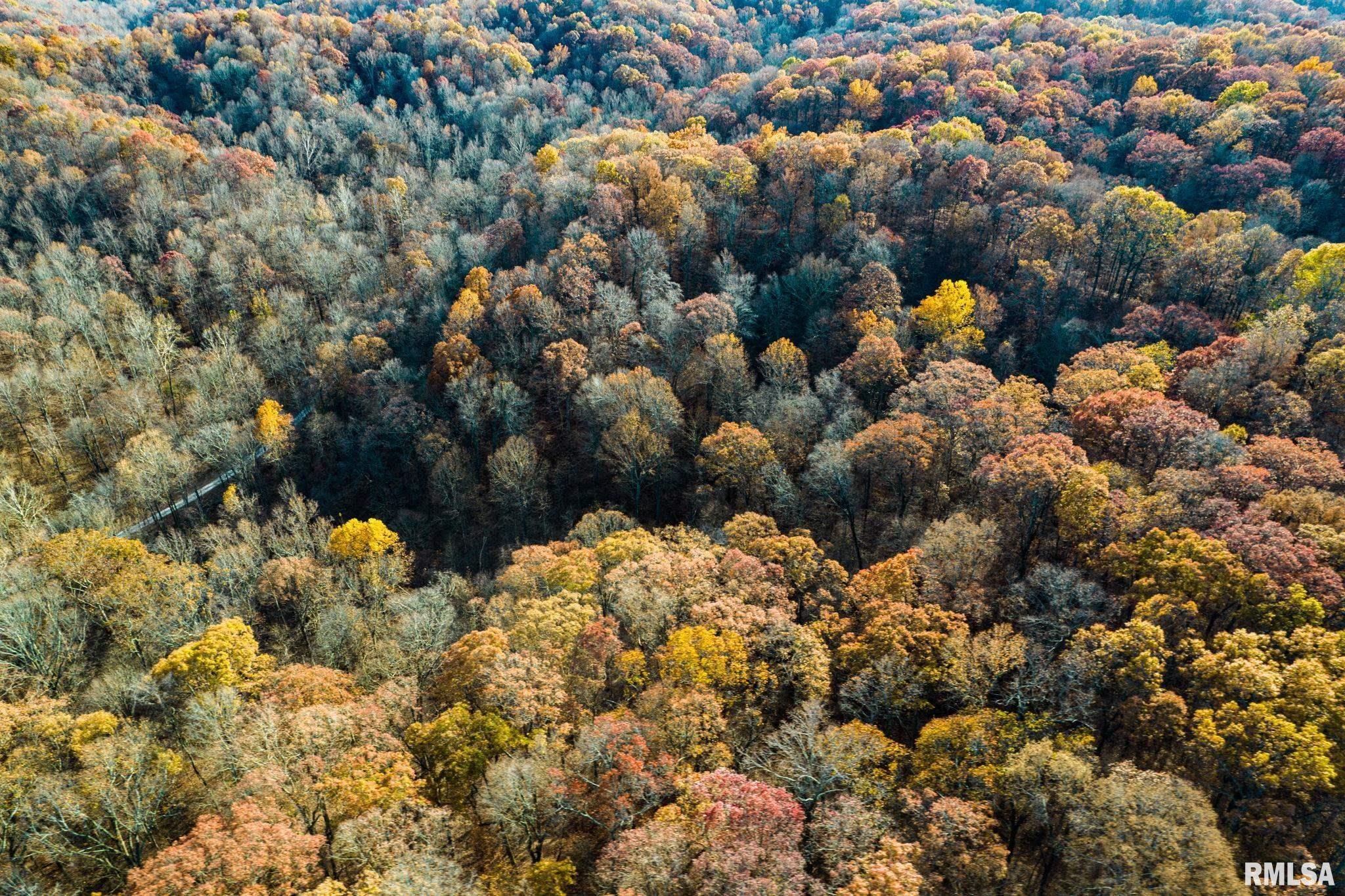Jim Branch Road, Tamms, Illinois image 16