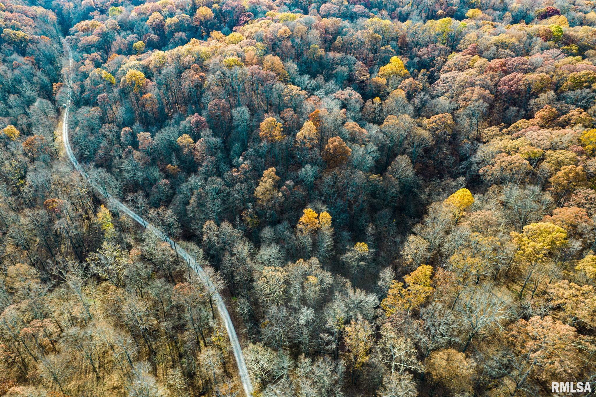 Jim Branch Road, Tamms, Illinois image 12