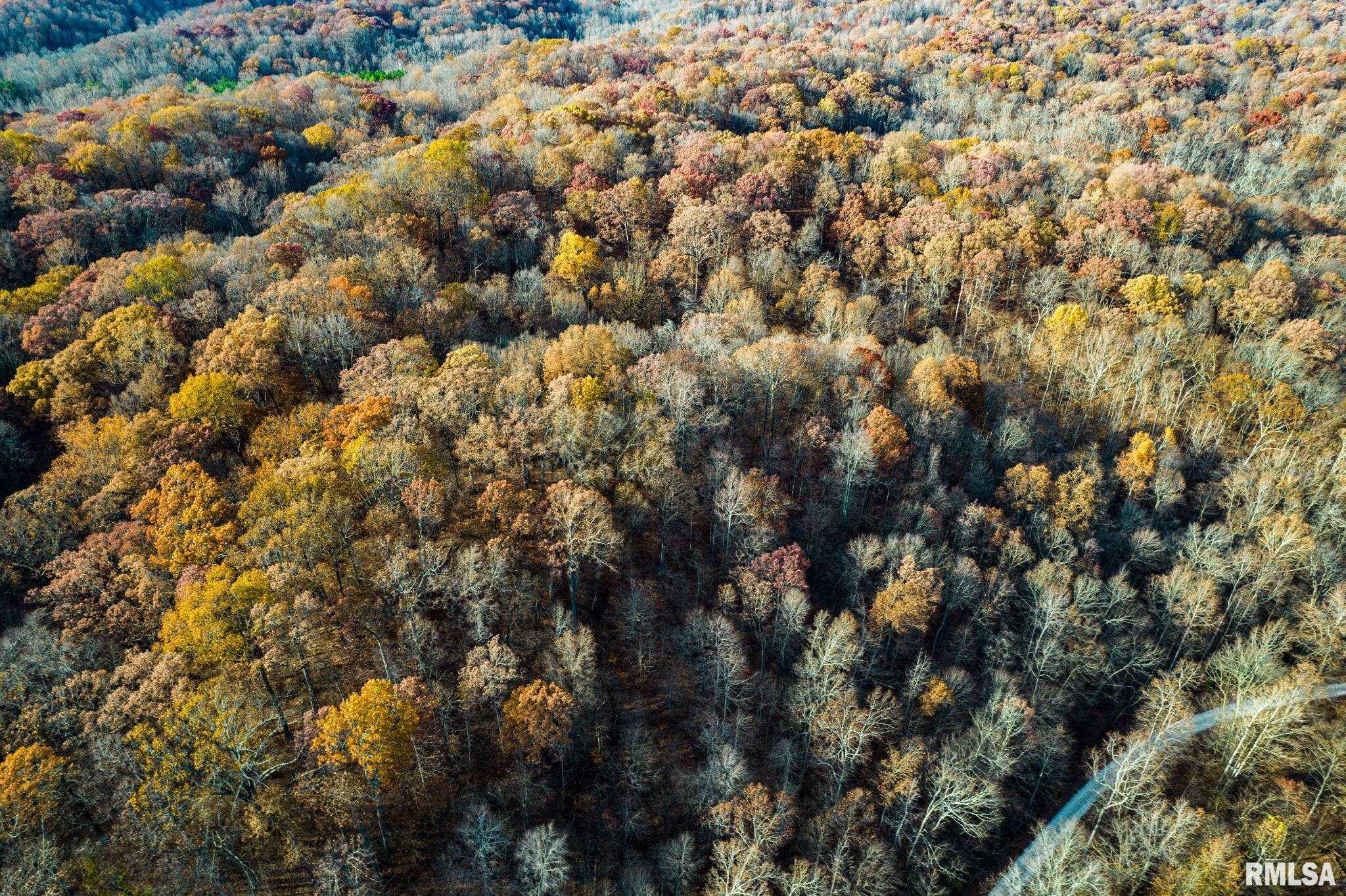Jim Branch Road, Tamms, Illinois image 9