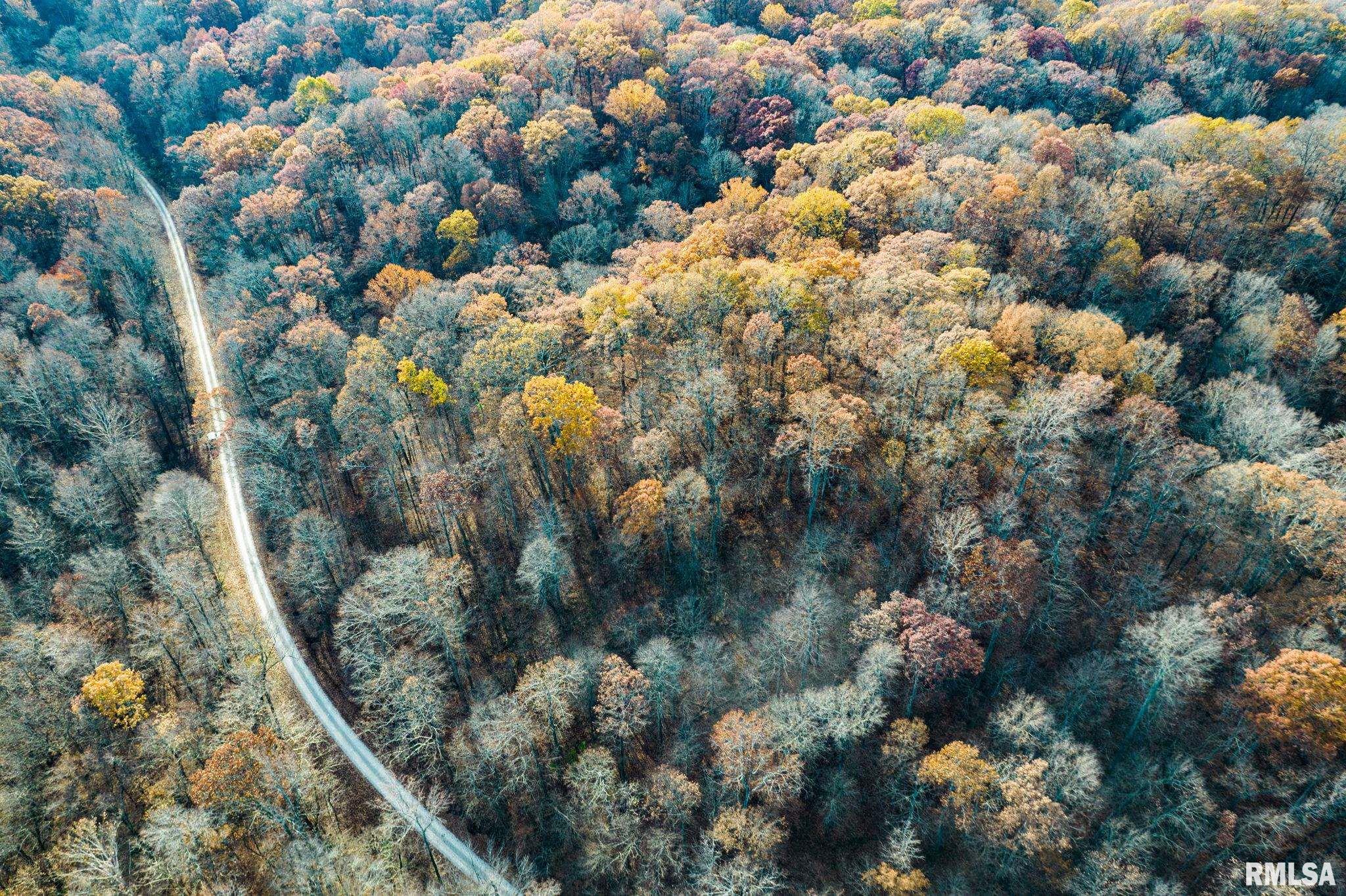 Jim Branch Road, Tamms, Illinois image 11