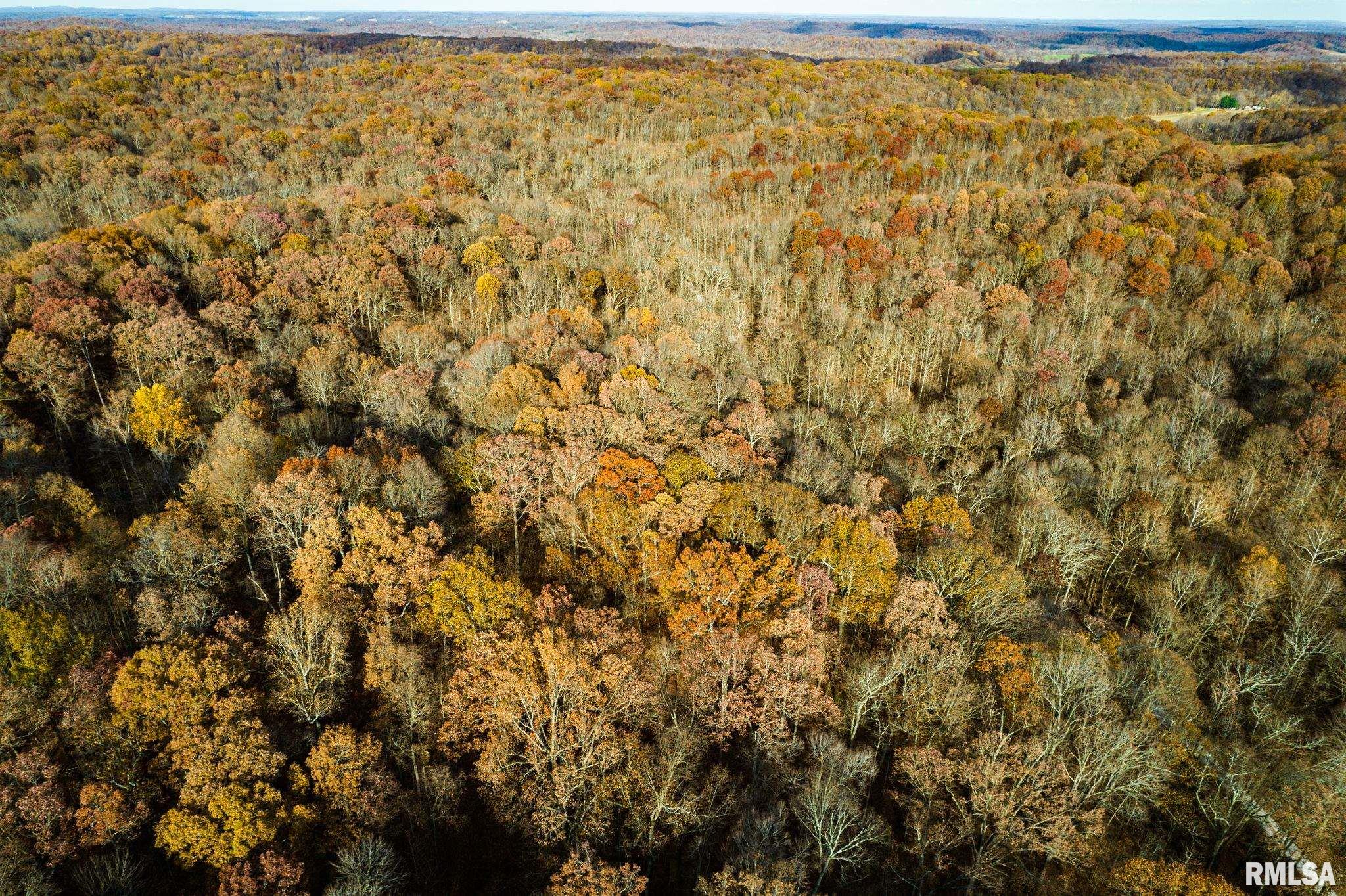 Jim Branch Road, Tamms, Illinois image 7