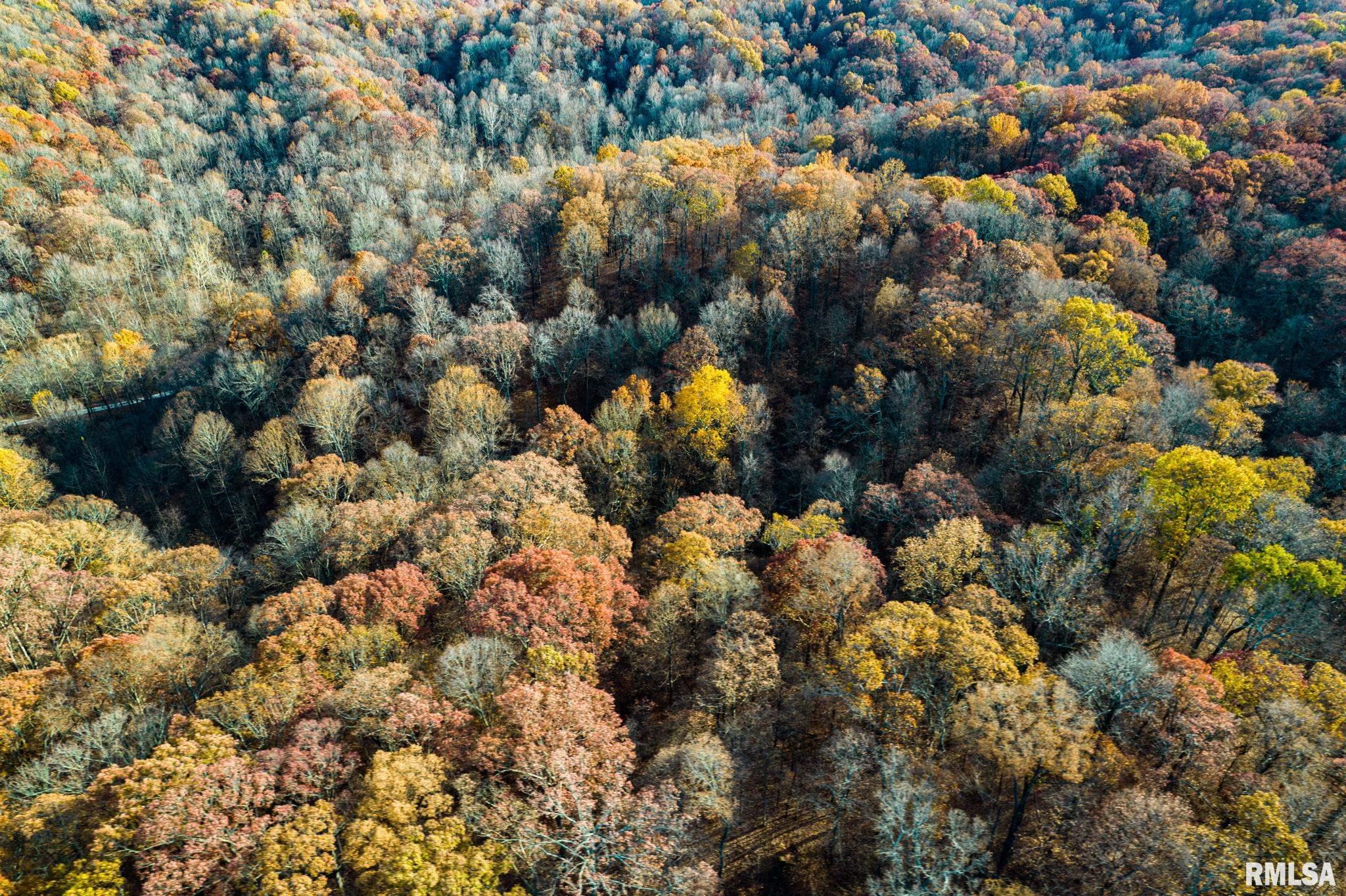 Jim Branch Road, Tamms, Illinois image 17