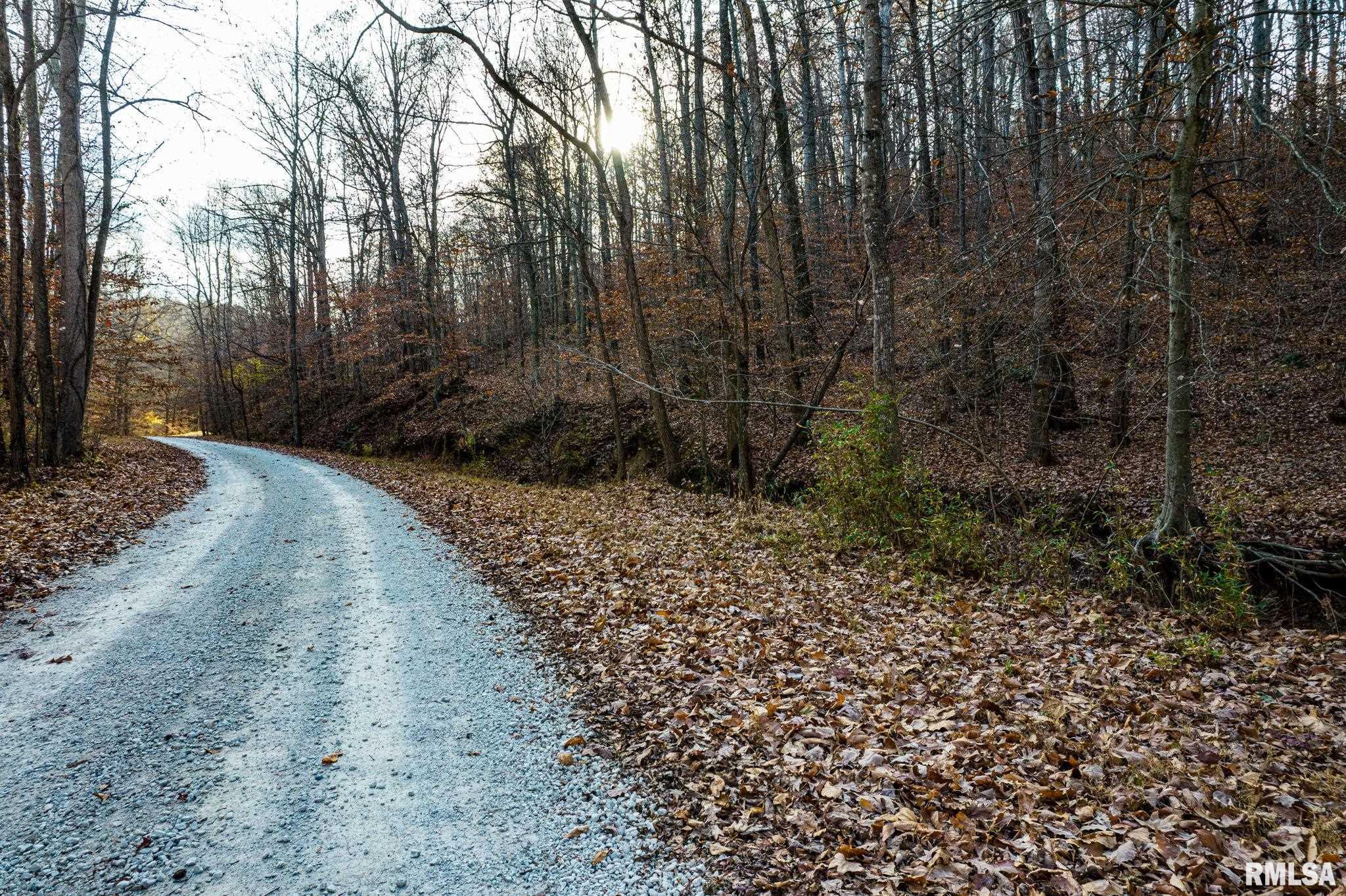 Jim Branch Road, Tamms, Illinois image 5