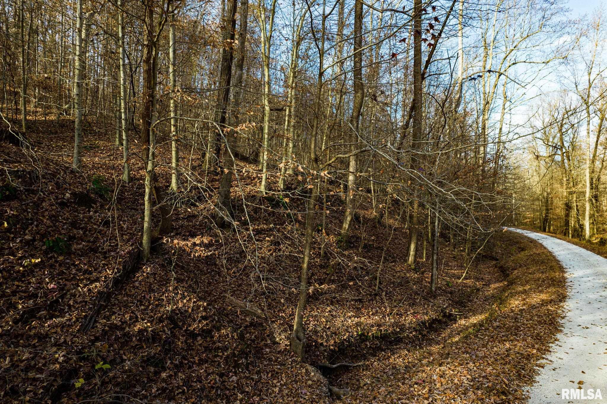 Jim Branch Road, Tamms, Illinois image 4