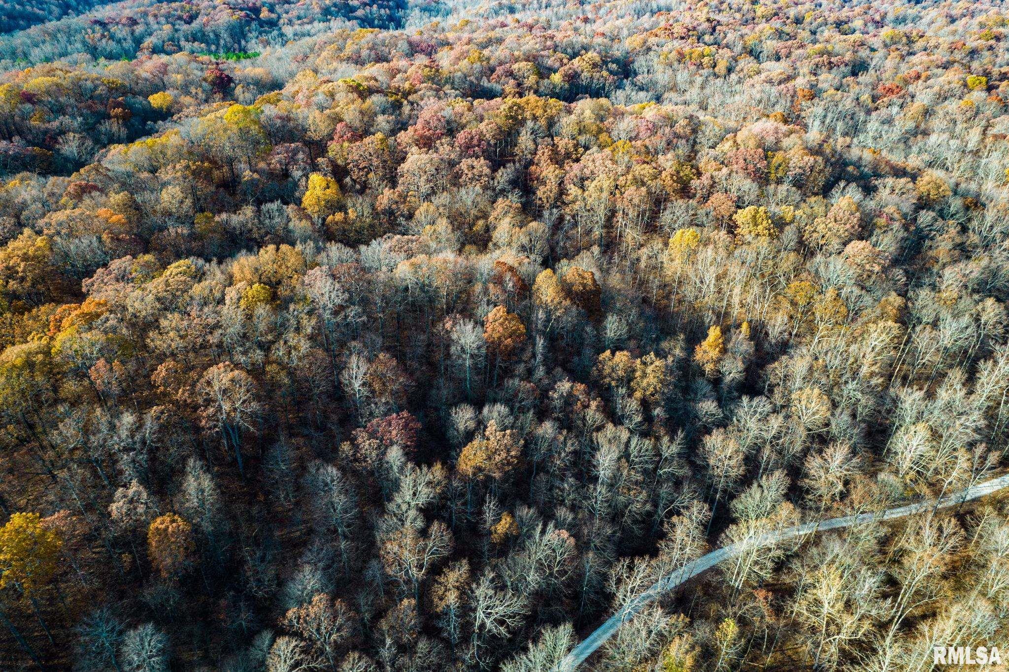Jim Branch Road, Tamms, Illinois image 10
