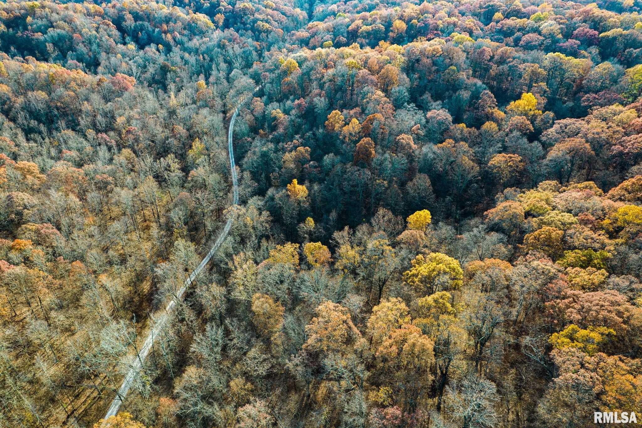Jim Branch Road, Tamms, Illinois image 15