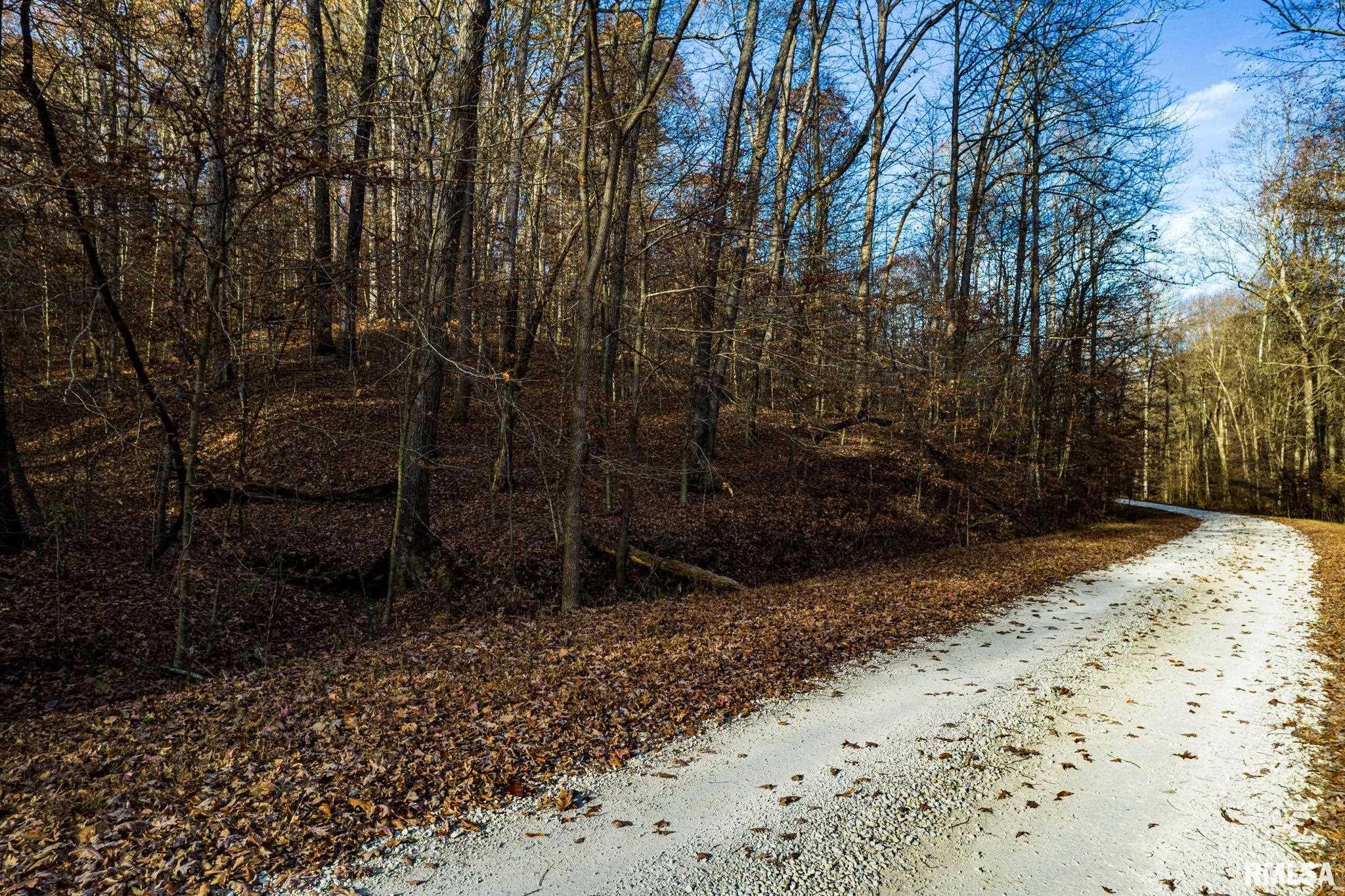 Jim Branch Road, Tamms, Illinois image 3