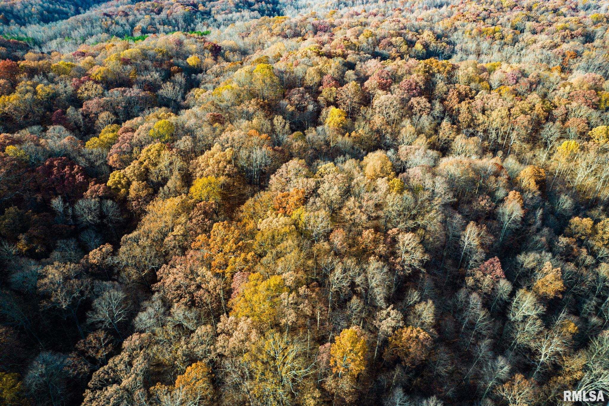 Jim Branch Road, Tamms, Illinois image 8