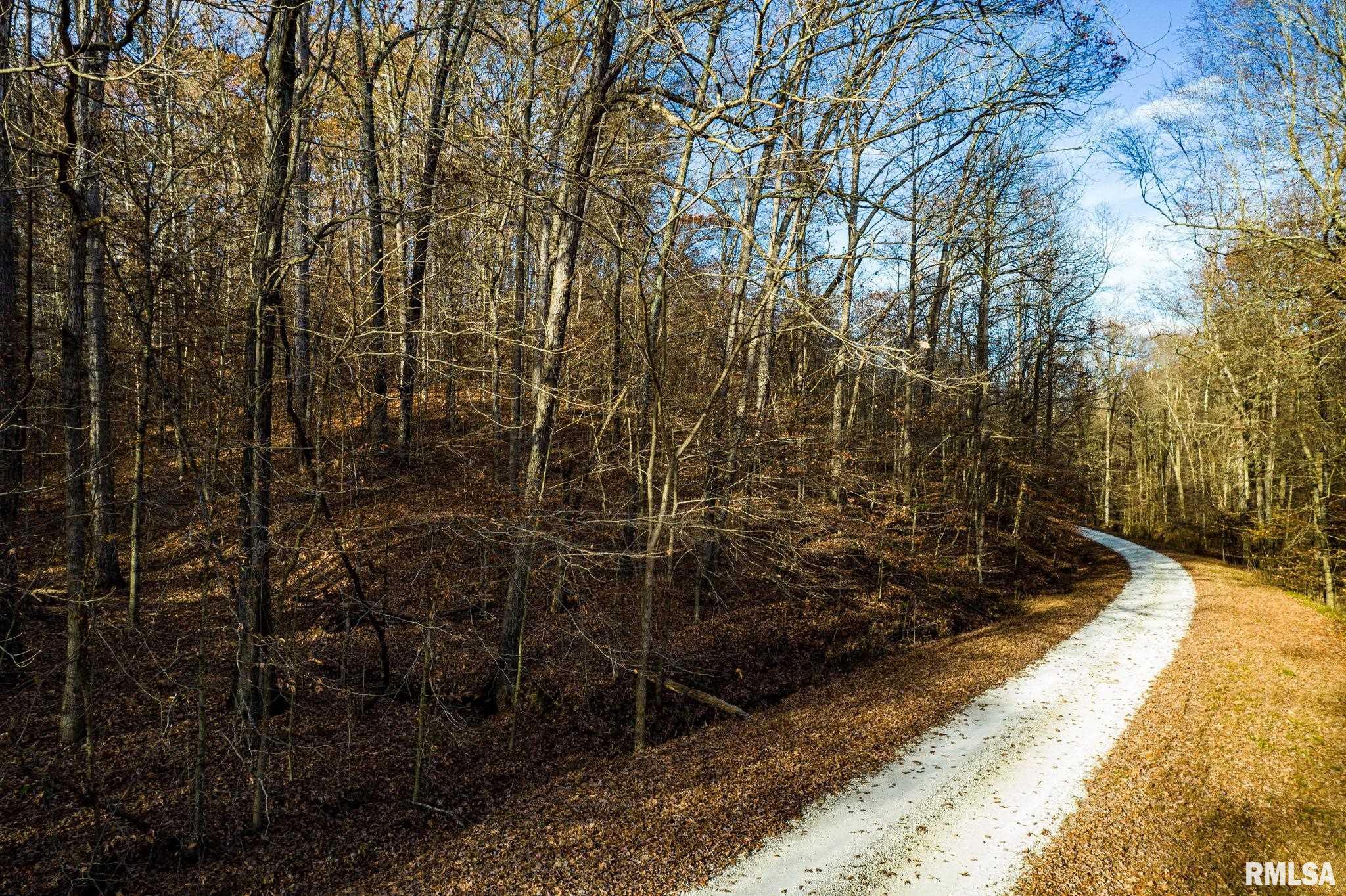 Jim Branch Road, Tamms, Illinois image 14