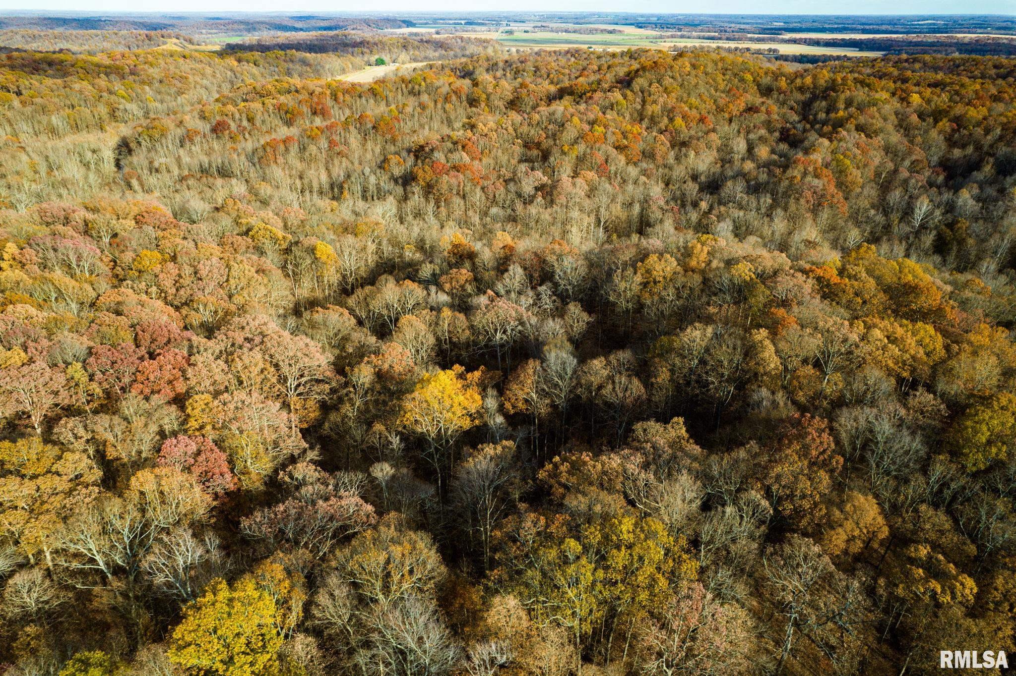 Jim Branch Road, Tamms, Illinois image 6