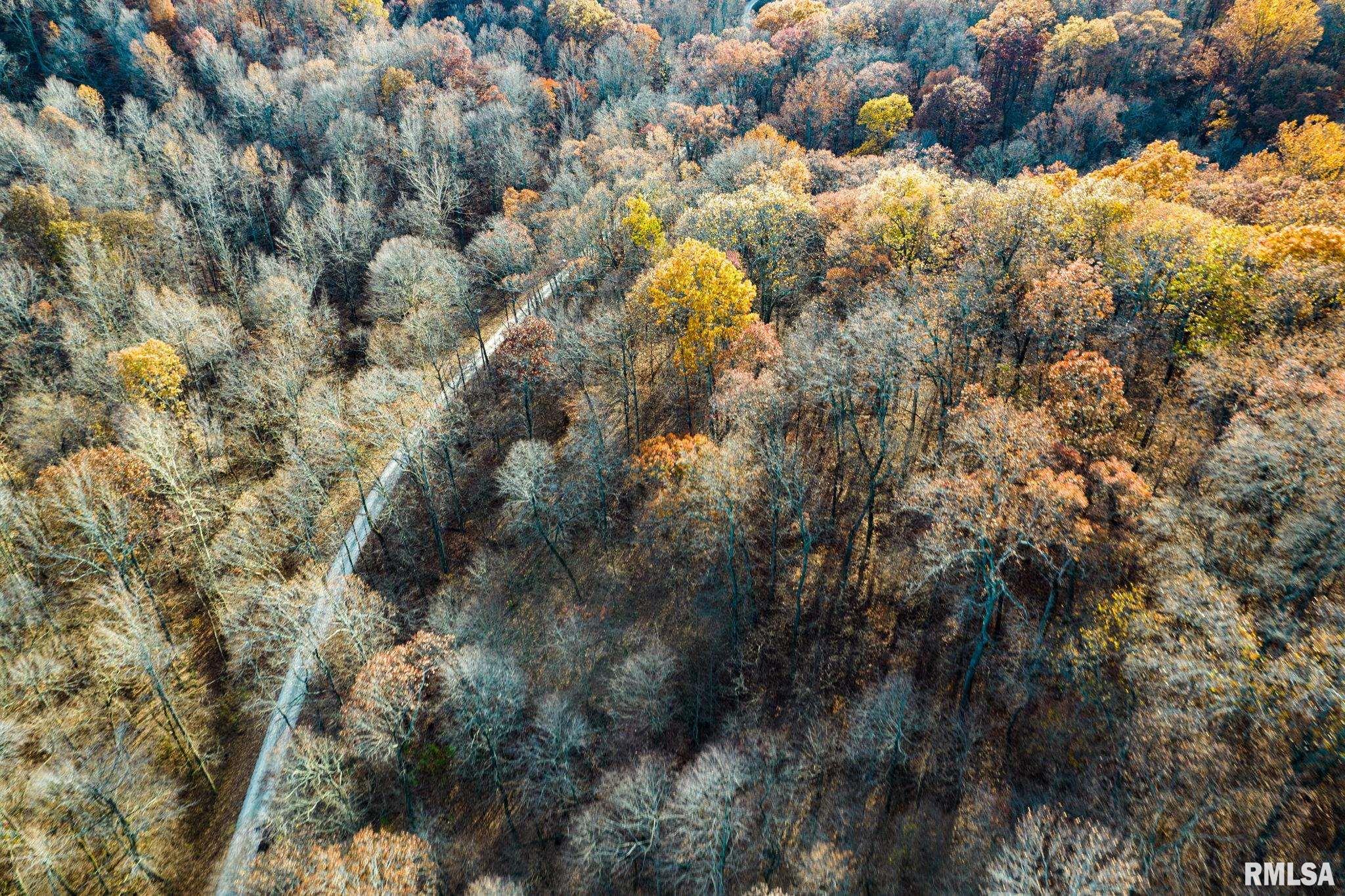 Jim Branch Road, Tamms, Illinois image 13