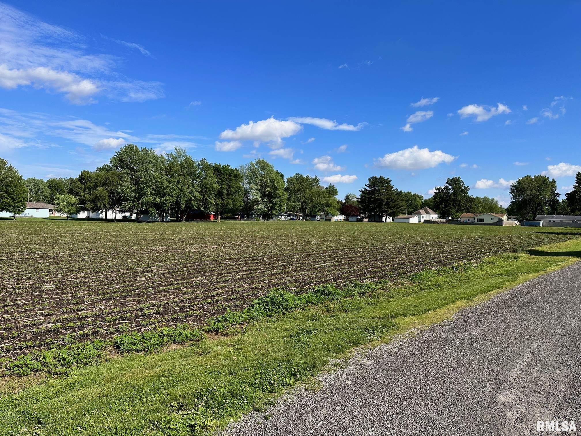 N Pine Street, Taylorville, Illinois image 1