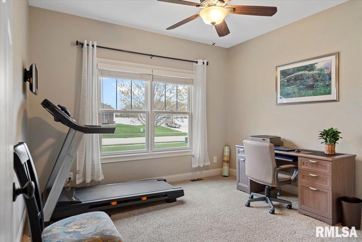 406 Sommerset Drive, Chatham, Illinois image 29
