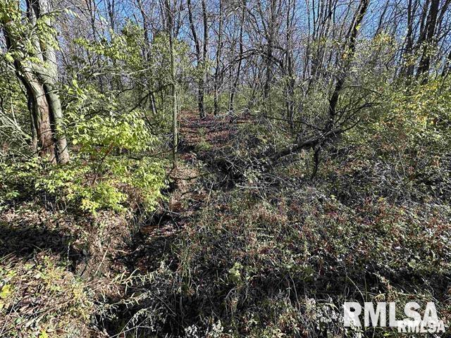 2115 E Knox Rd 150 Road, Galesburg, Illinois image 8