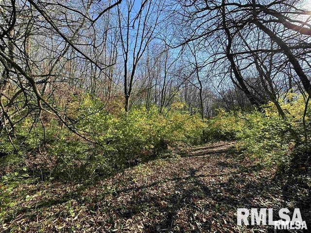 2115 E Knox Rd 150 Road, Galesburg, Illinois image 6