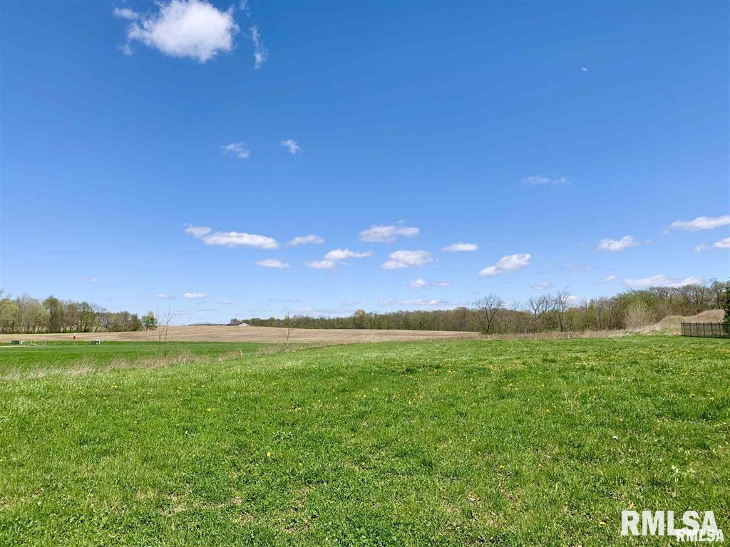 Lot 71 Wolf Crossing Drive, Morton, Illinois image 1