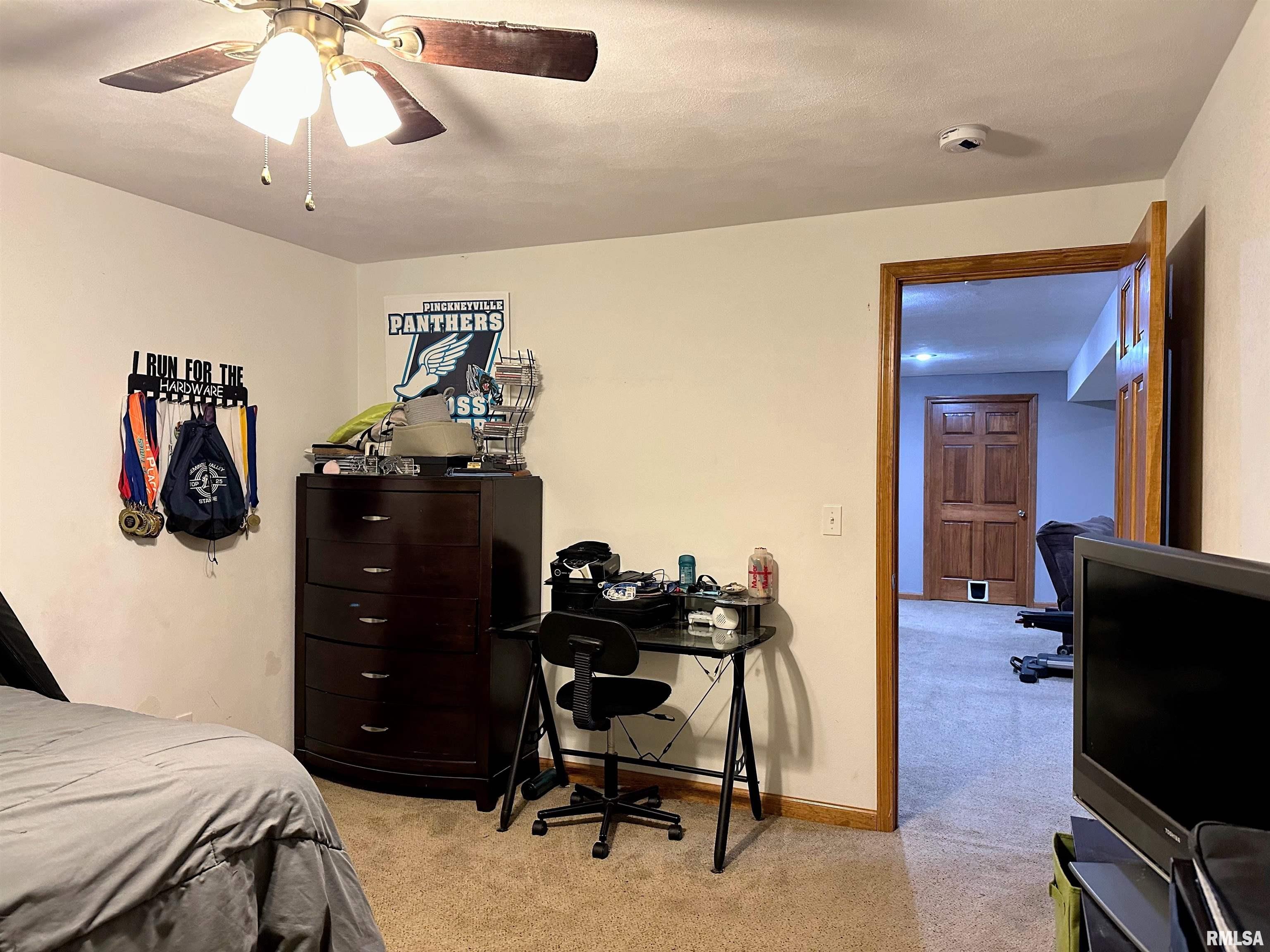 4111 Evergreen Lane, Pinckneyville, Illinois image 35
