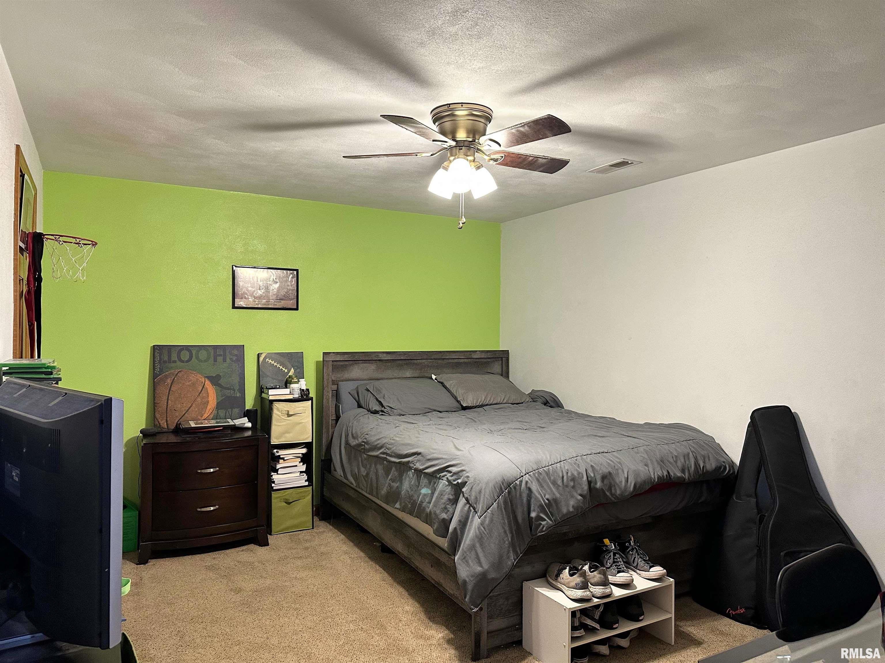 4111 Evergreen Lane, Pinckneyville, Illinois image 33