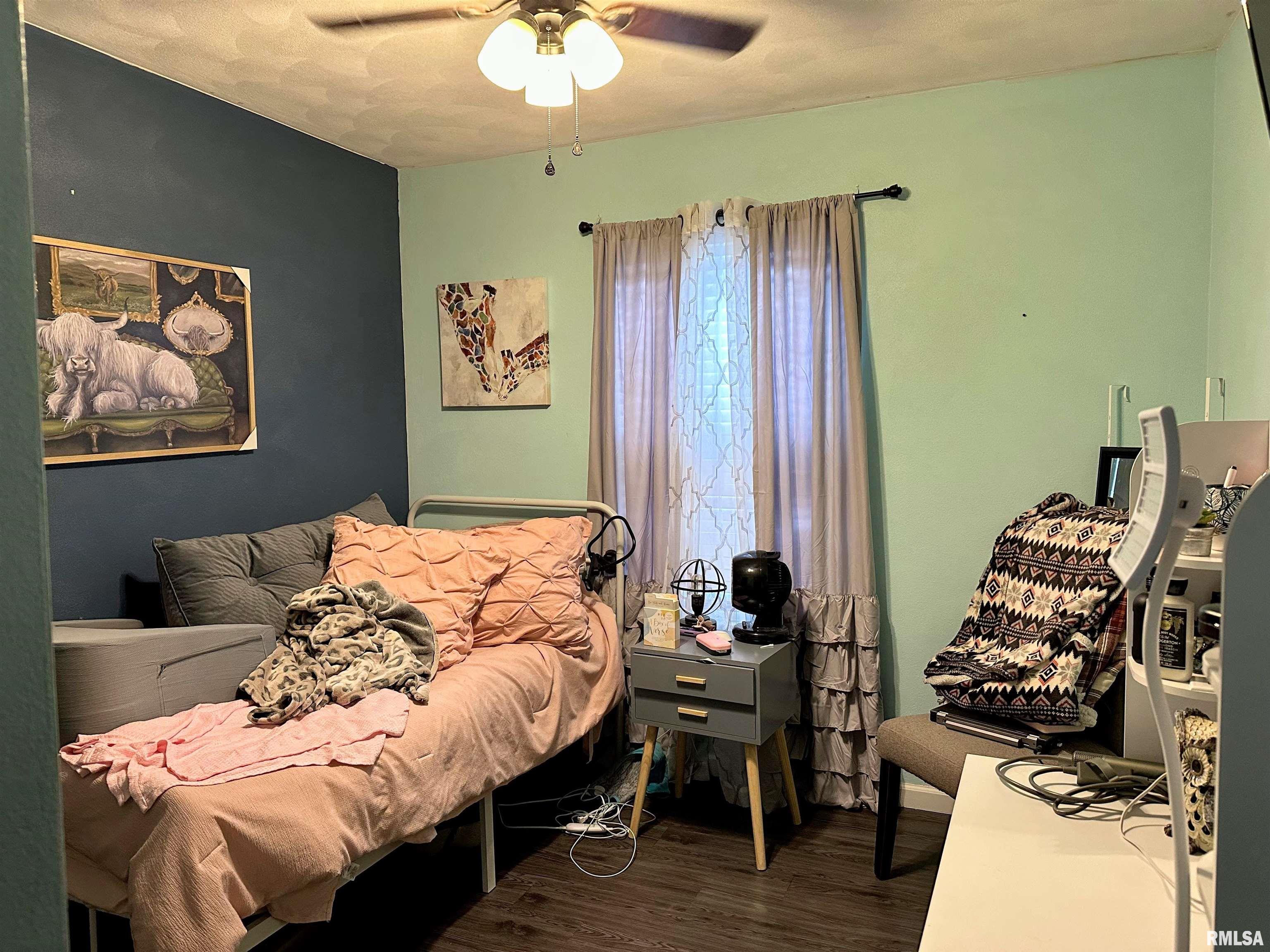 4111 Evergreen Lane, Pinckneyville, Illinois image 19