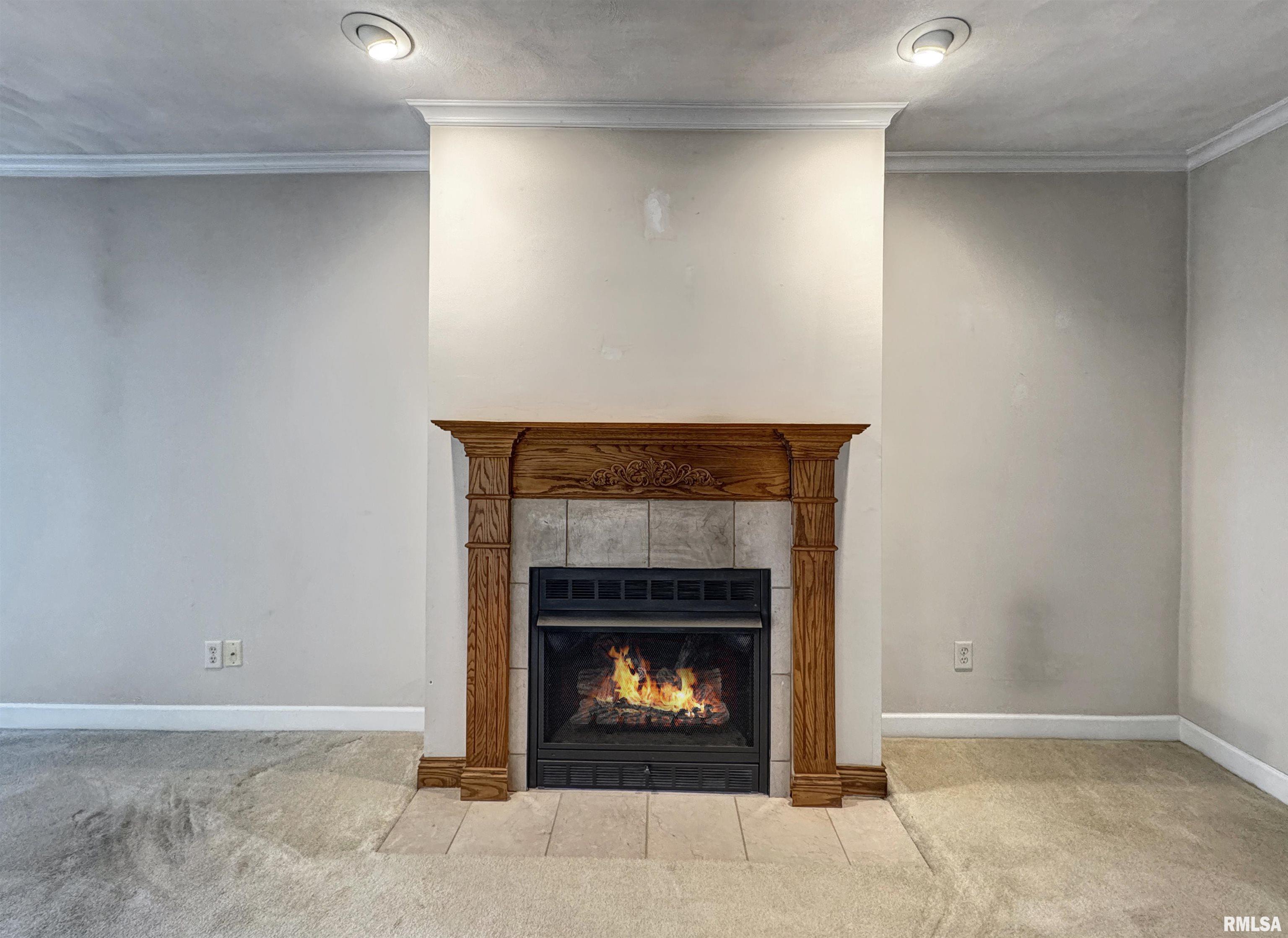 1033 Western Avenue, Henry, Illinois image 16