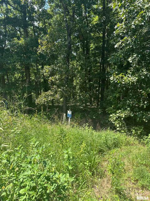 Vacant Land For Sale - 00 Hawthorne Point<br/> Johnson County, Goreville, IL 62939