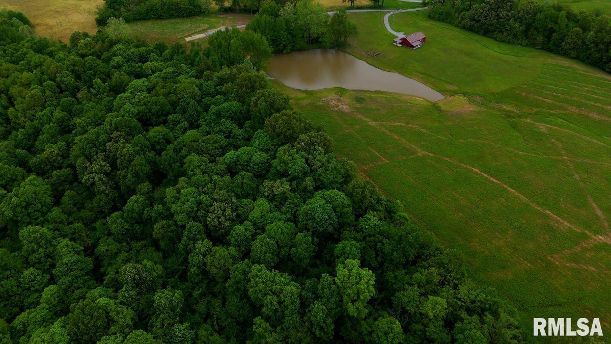 457 Macedonia Road, Golconda, Illinois image 46