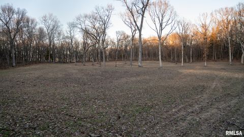 Vacant Land For Sale - 001 E 1050 N Road<br/> Mason County, Kilbourne, IL 62655