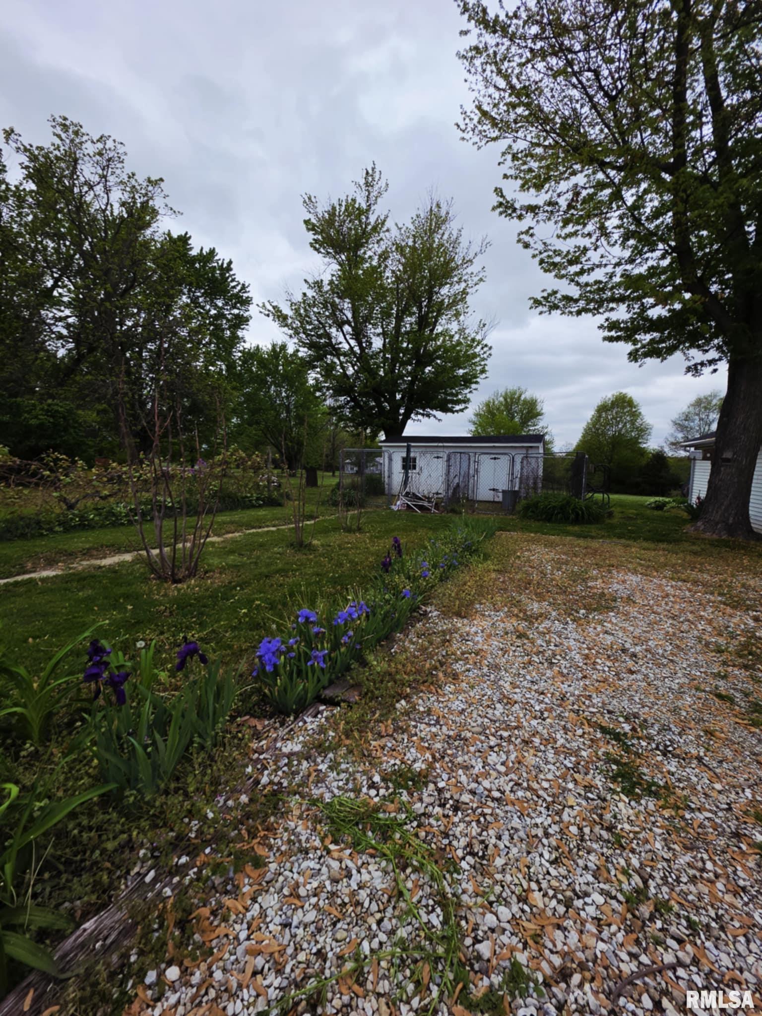 303 S Hedrick Street, Loraine, Illinois image 9
